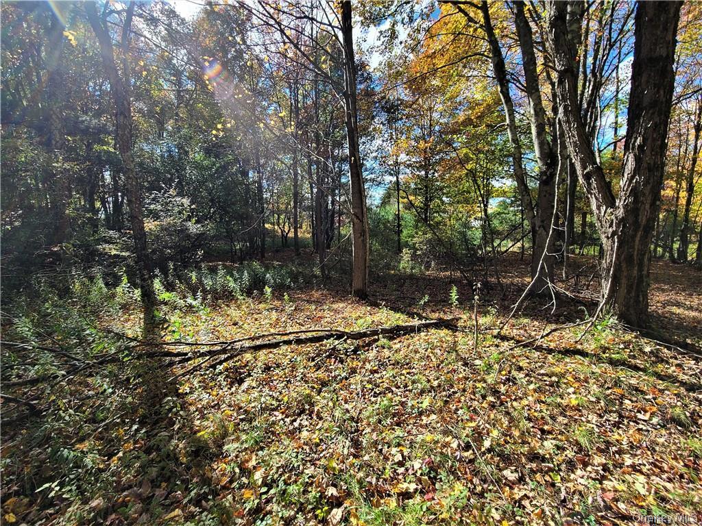 Lot 5.4 Kaufman Road – For Sale photo 36