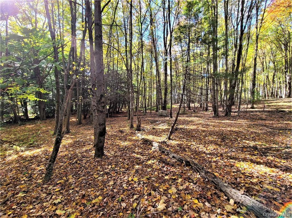 Lot 5.4 Kaufman Road – For Sale photo 40