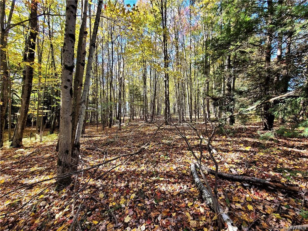 Lot 5.4 Kaufman Road – For Sale photo 37