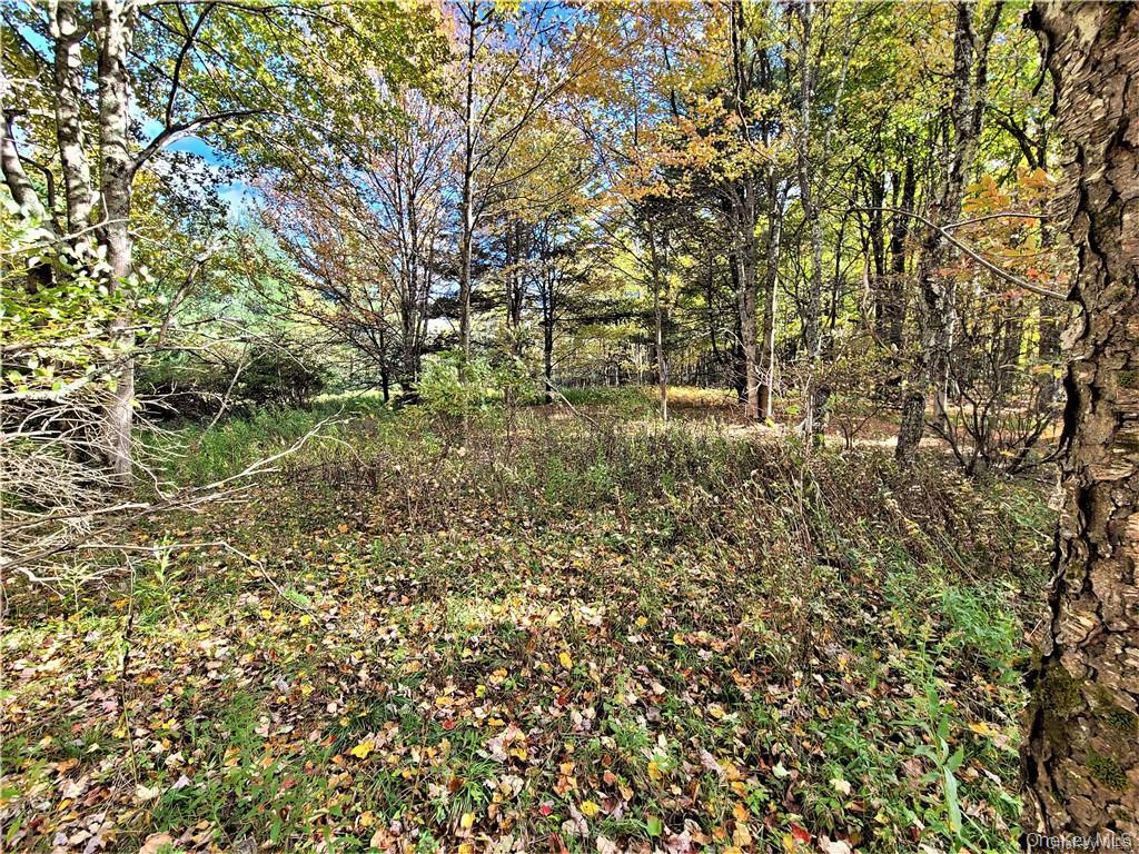Lot 5.4 Kaufman Road – For Sale photo 35