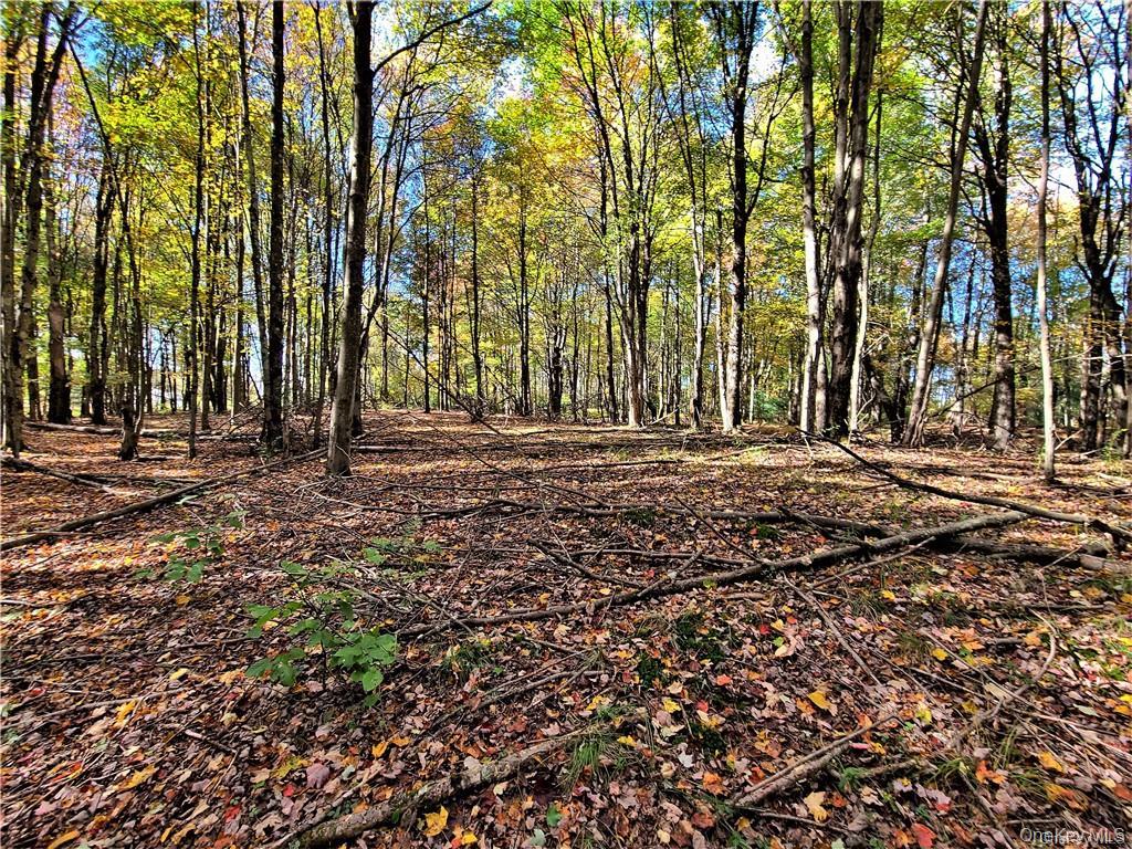 Lot 5.4 Kaufman Road – For Sale photo 42