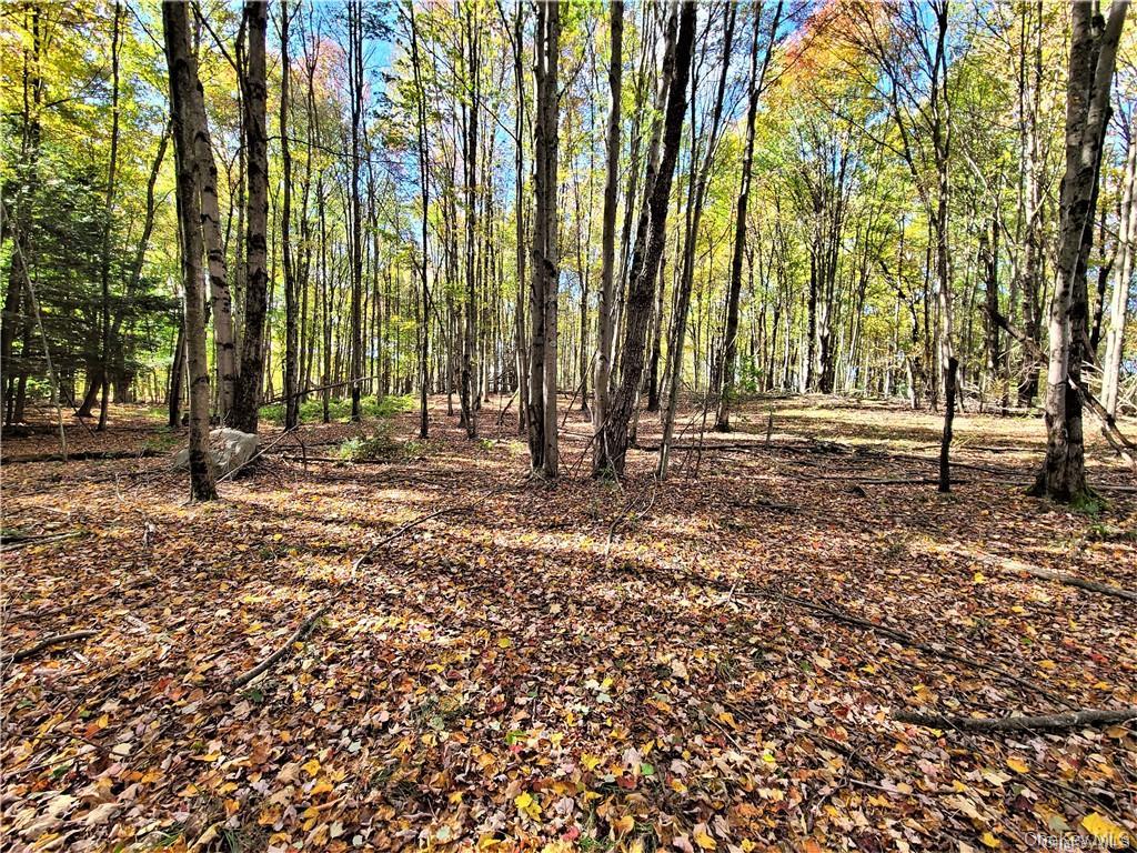 Lot 5.4 Kaufman Road – For Sale photo 41