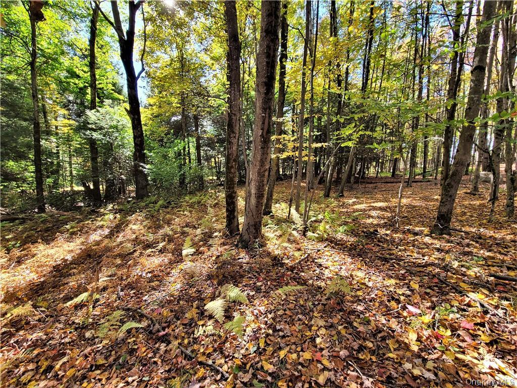 Lot 5.4 Kaufman Road – For Sale photo 39