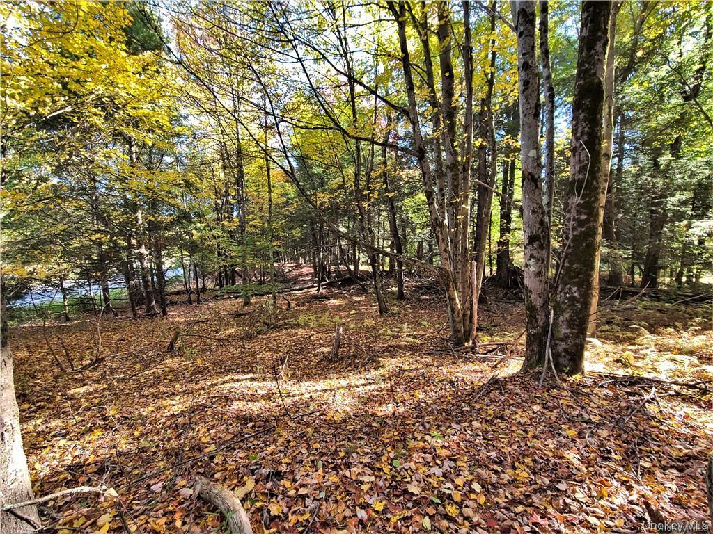 Lot 5.4 Kaufman Road – For Sale photo 43