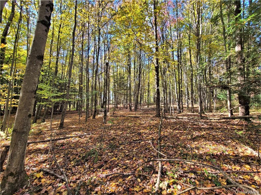 Lot 5.4 Kaufman Road – For Sale photo 38