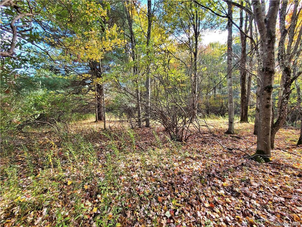 Lot 5.4 Kaufman Road – For Sale photo 33
