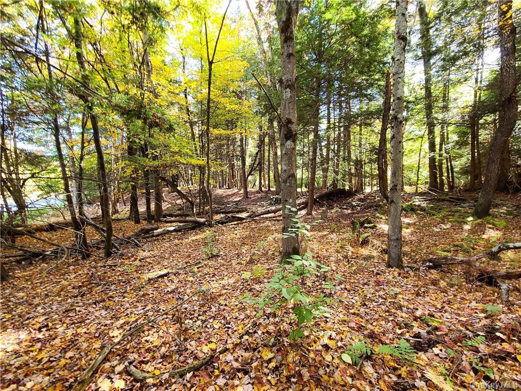 Lot 5.4 Kaufman Road – For Sale photo 44
