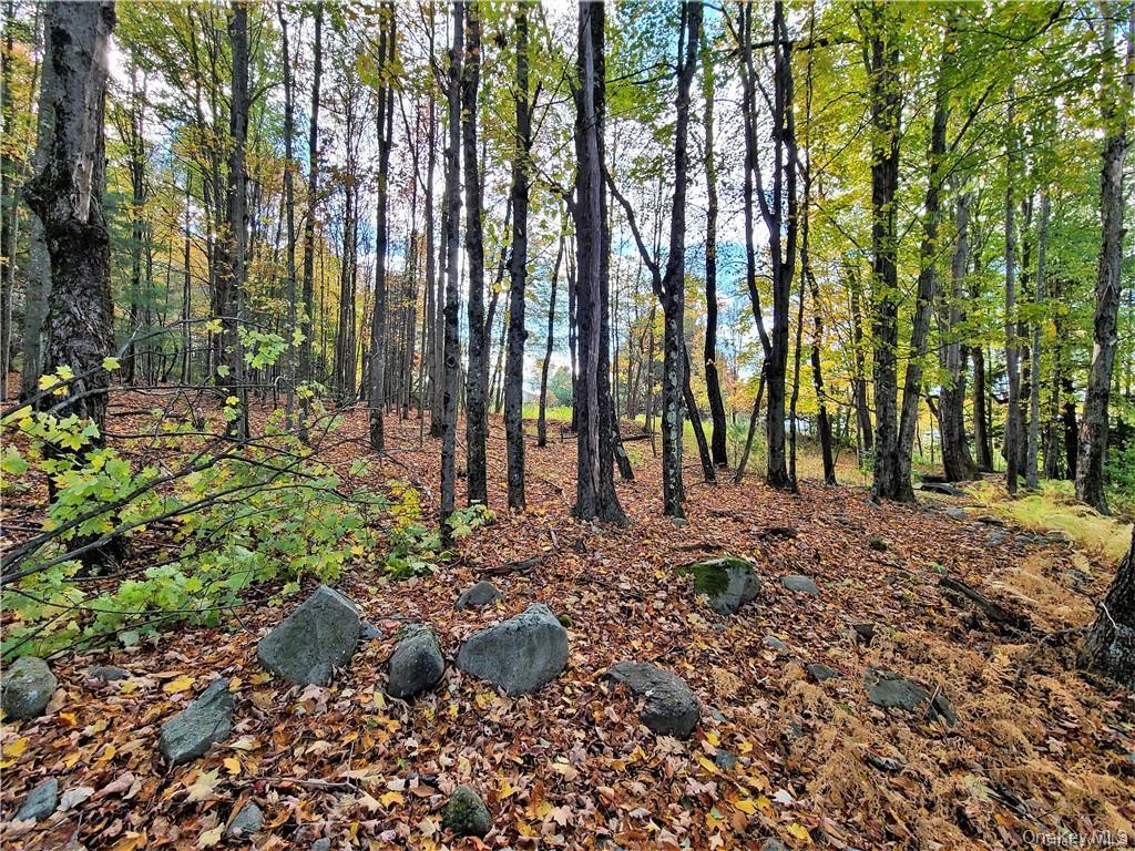 Lot 5.4 Kaufman Road – For Sale photo 32