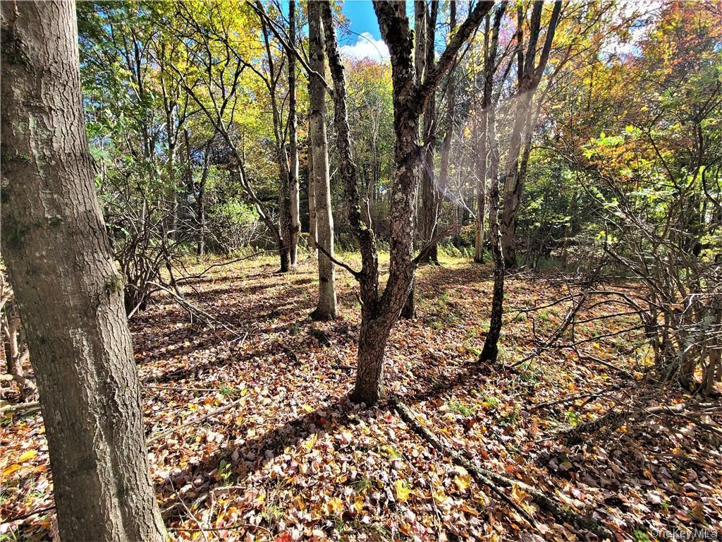 Lot 5.4 Kaufman Road – For Sale photo 34