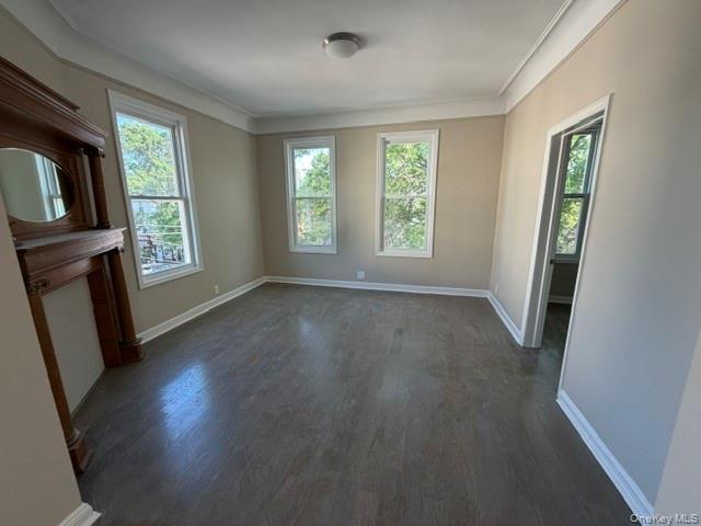667 Morris Park Avenue – For Rent photo 8