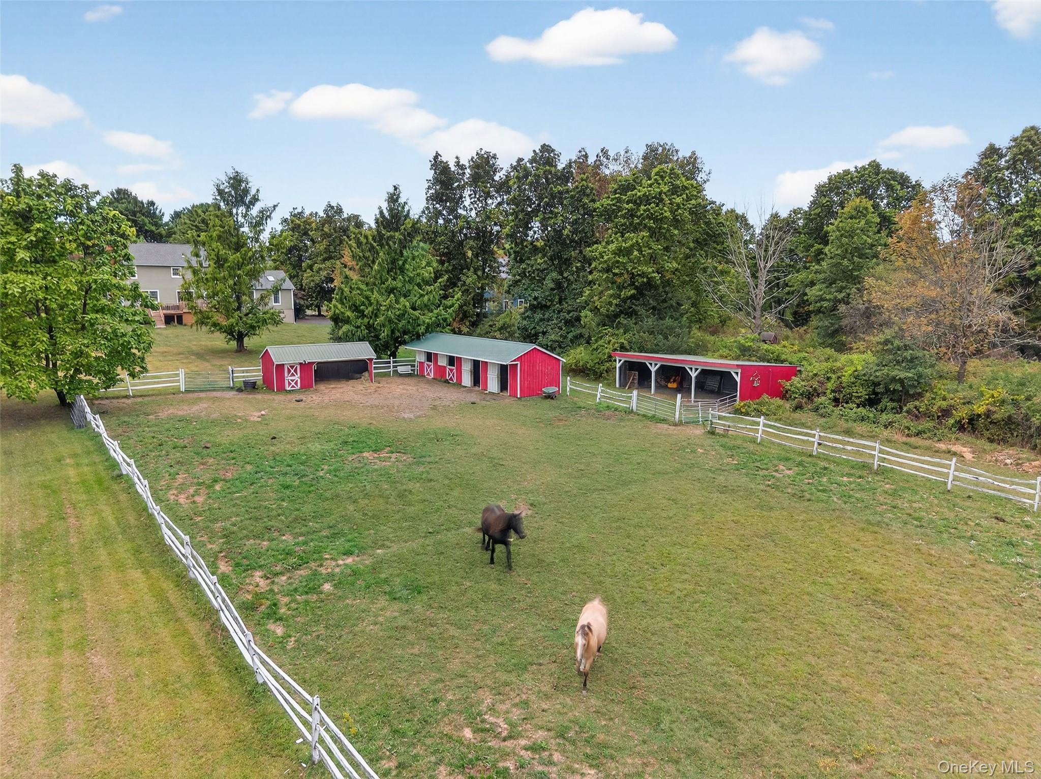 214 Dubois Road – For Sale photo 20