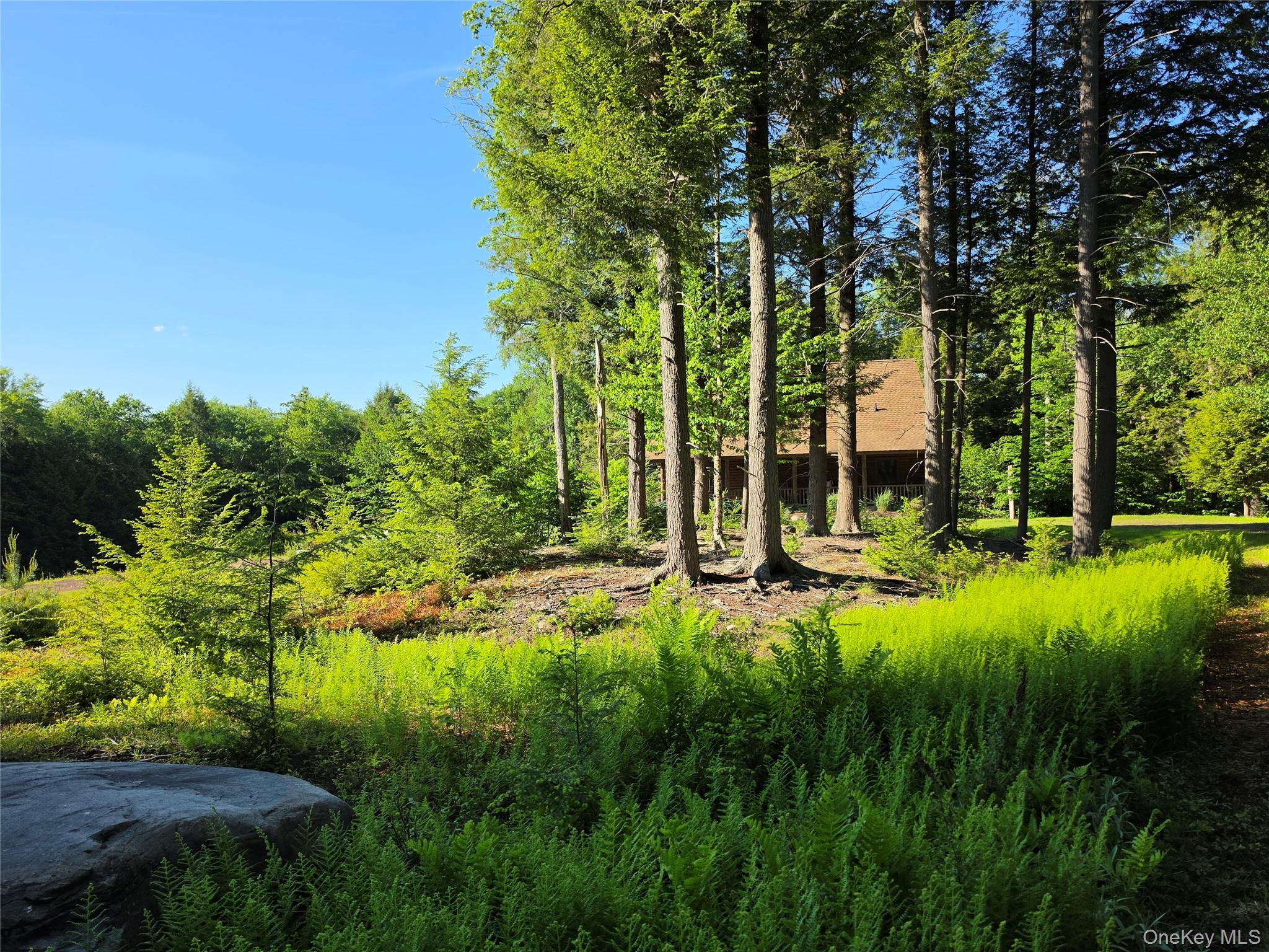 108 Eagles Ridge Way – For Sale photo 48