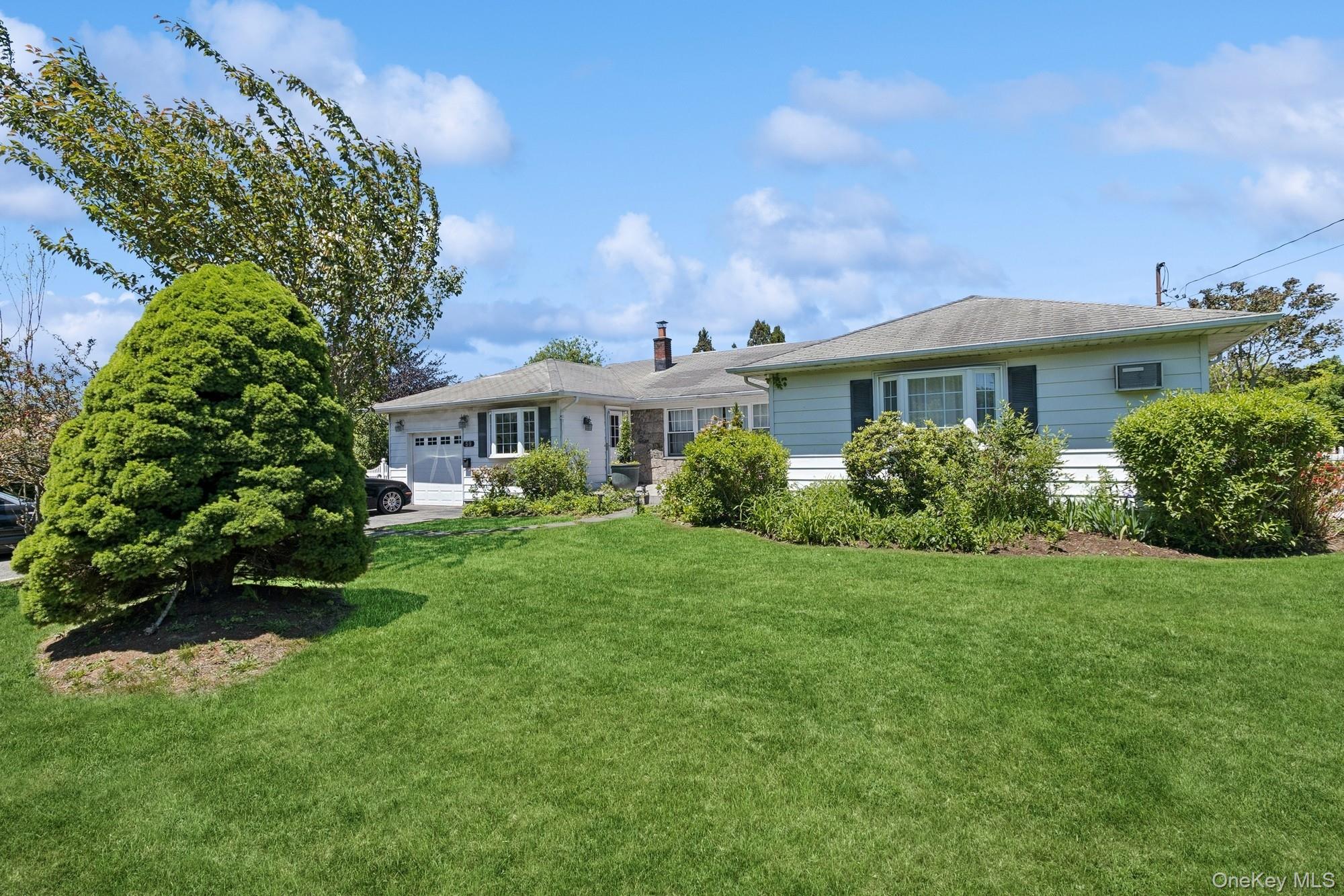 59 Wiltshire Street – For Rent photo 4
