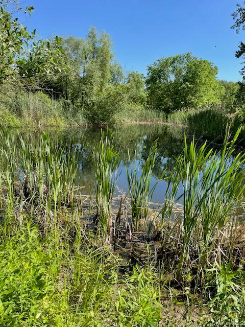 2228 State Route 203 – For Sale photo 39