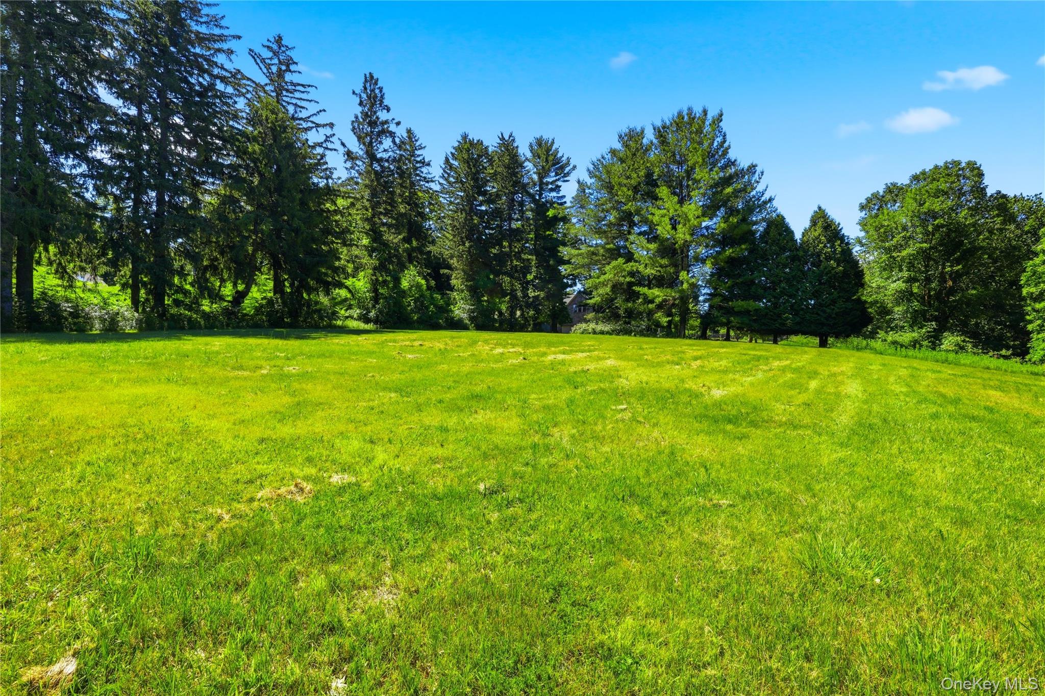 196 McLain Street – For Sale photo 43
