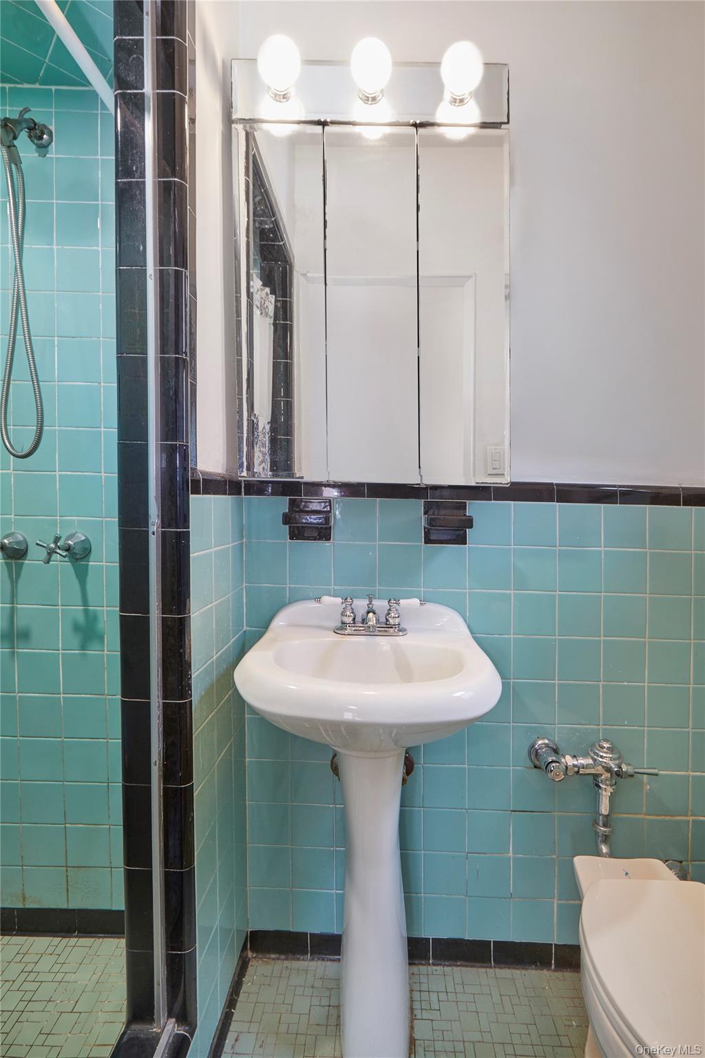 3616 Henry Hudson Parkway, Unit 6AN photo 11