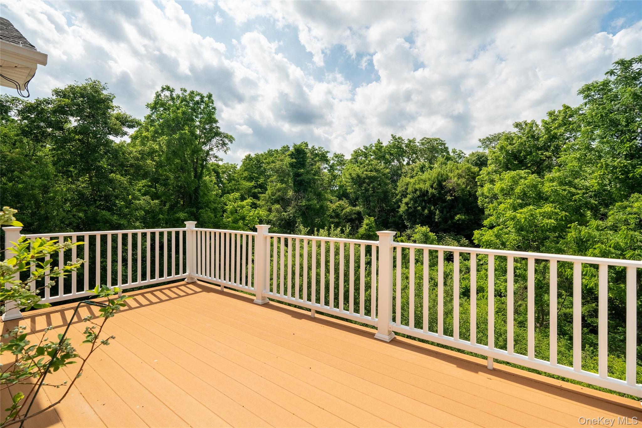 19 Ash Road – For Sale photo 30