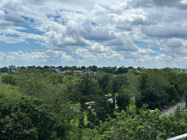 671 Bronx River Road, Unit 6G photo 12