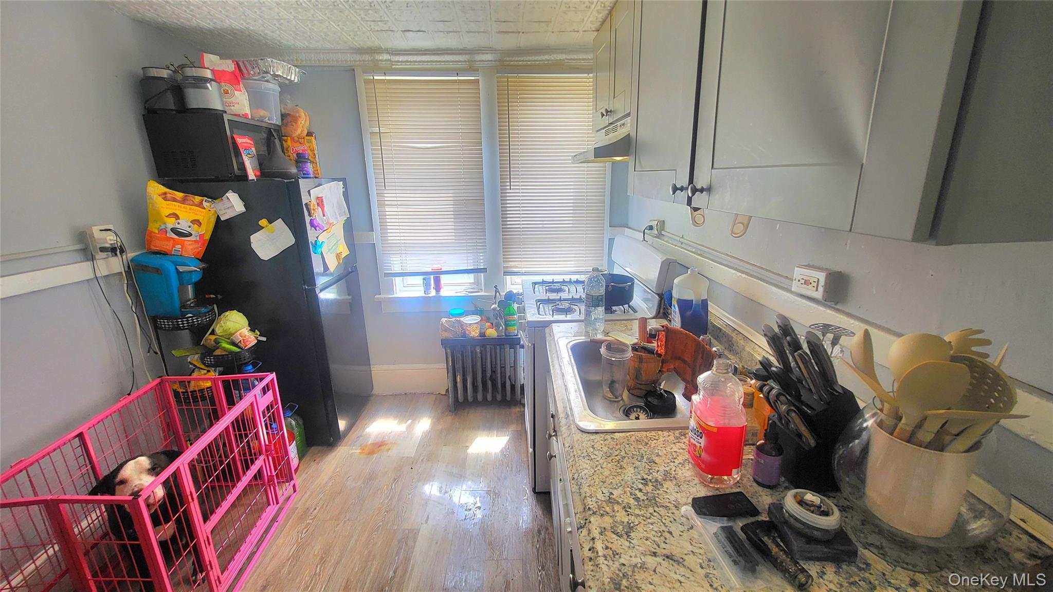 48 Conklin Street – For Sale photo 6
