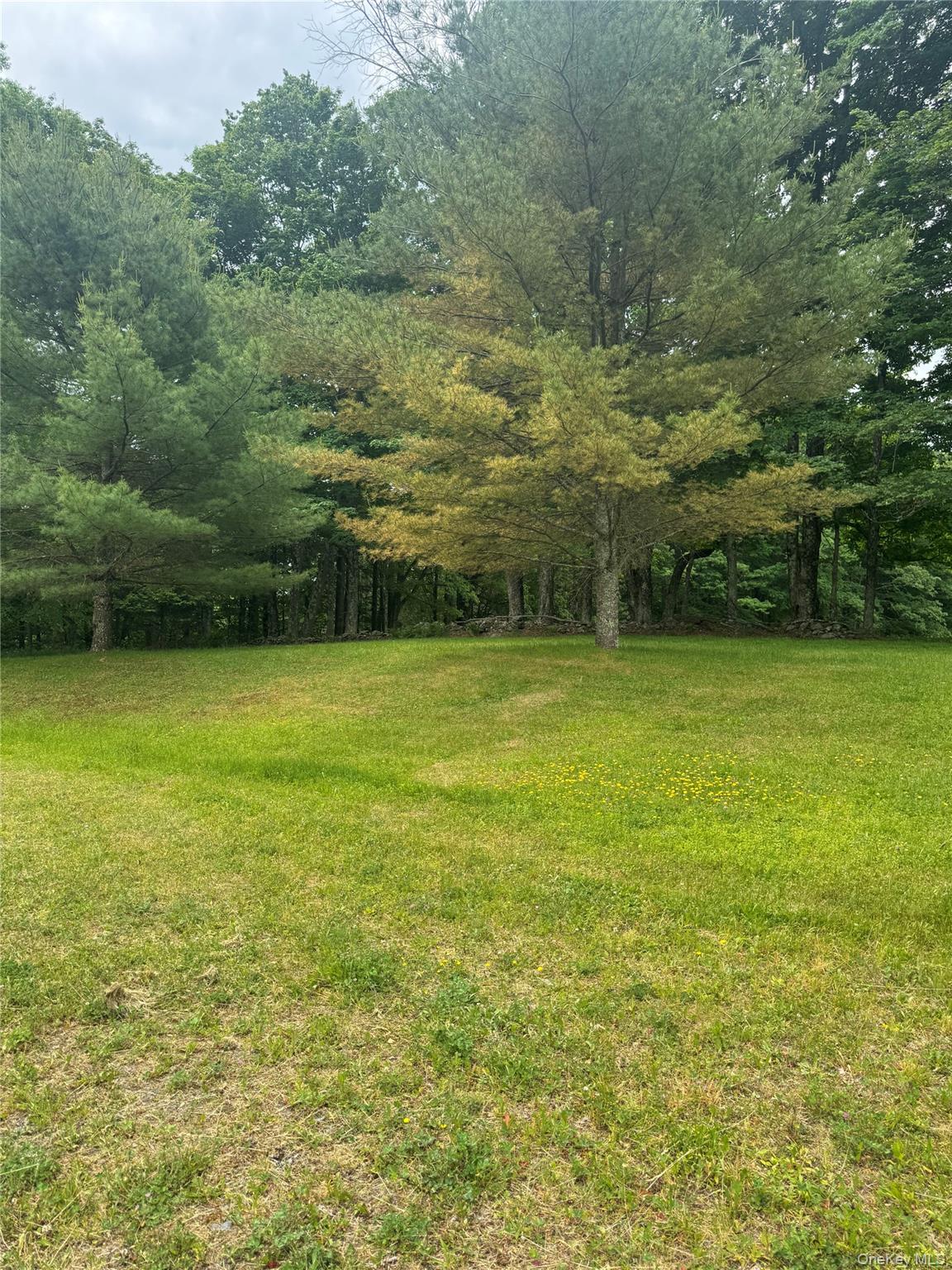 742 Lenape Lake Road – For Sale photo 17