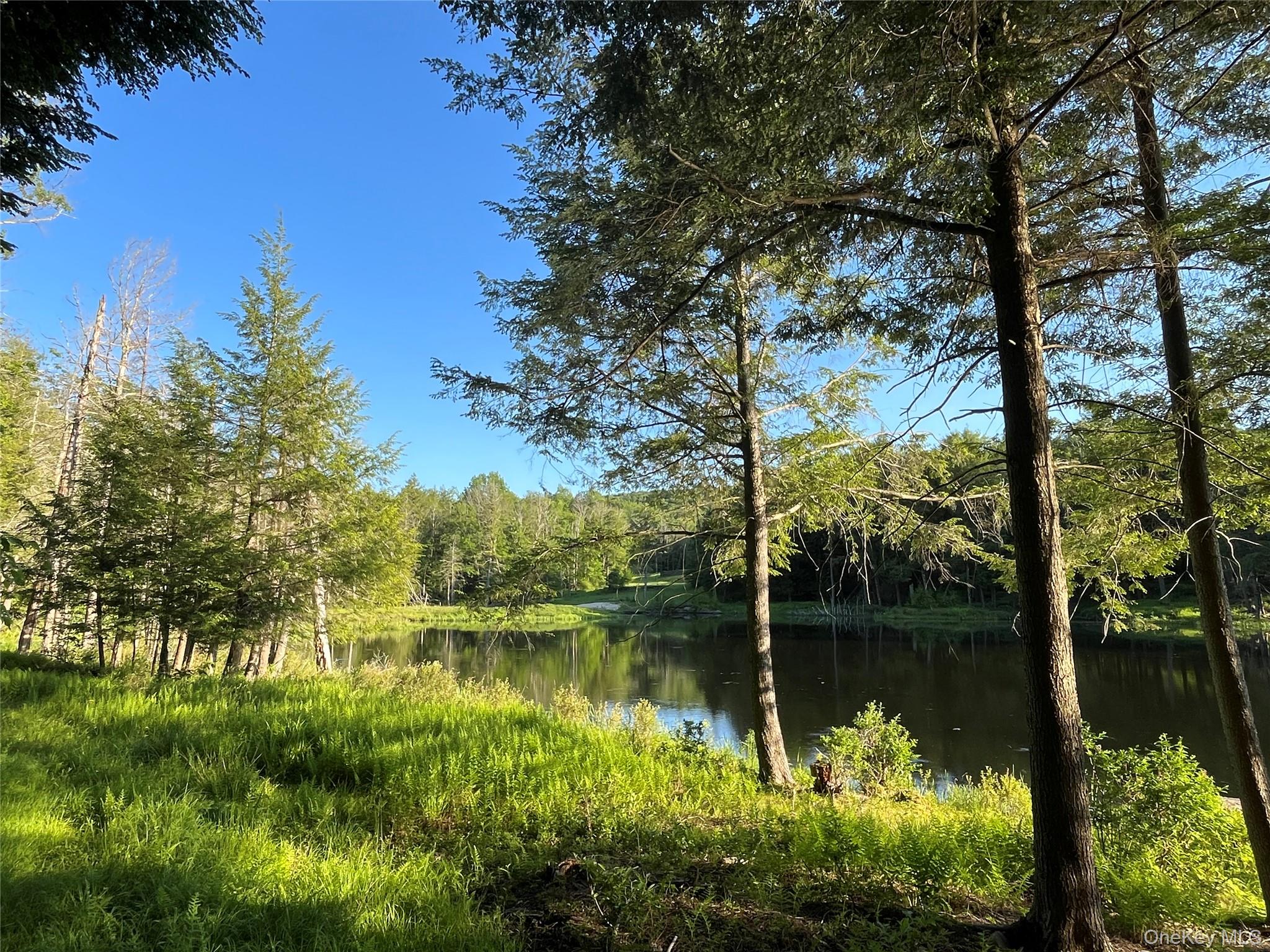 4 Cold Creek Pass – For Sale photo 13