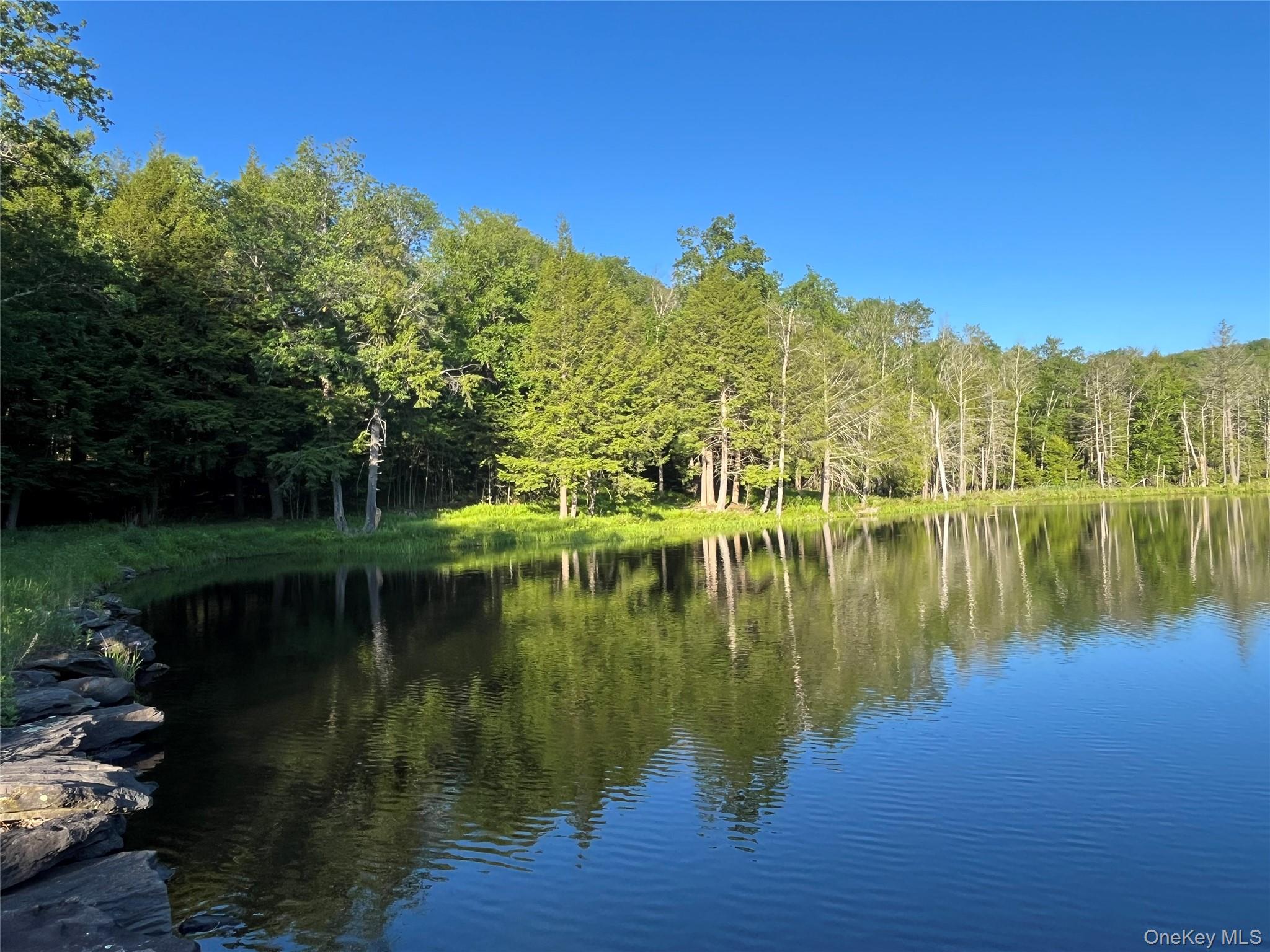 4 Cold Creek Pass – For Sale photo 9