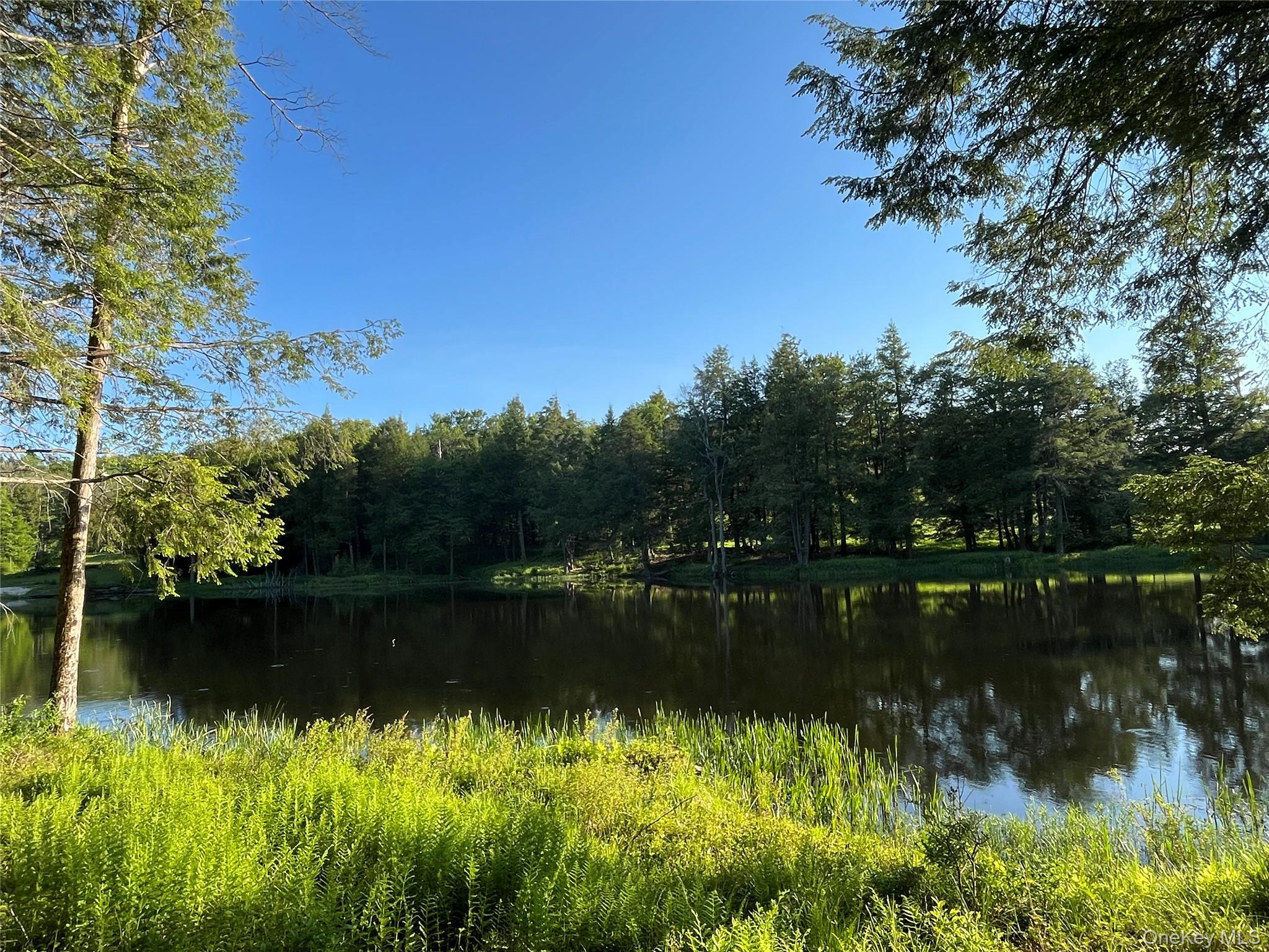 4 Cold Creek Pass – For Sale photo 12