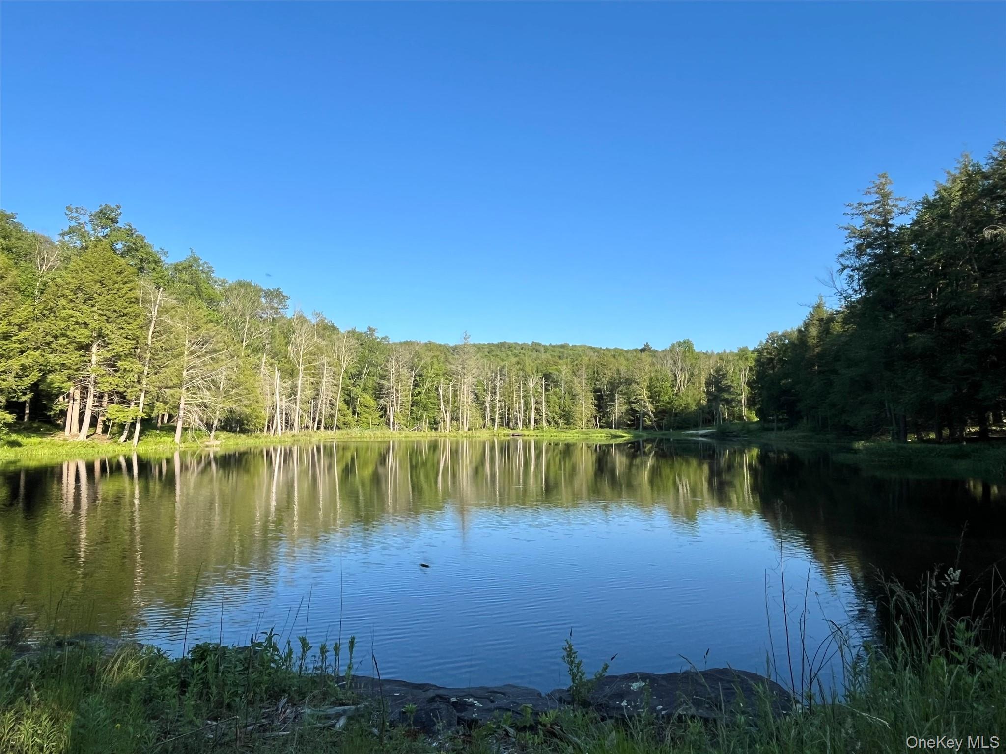 4 Cold Creek Pass – For Sale photo 6