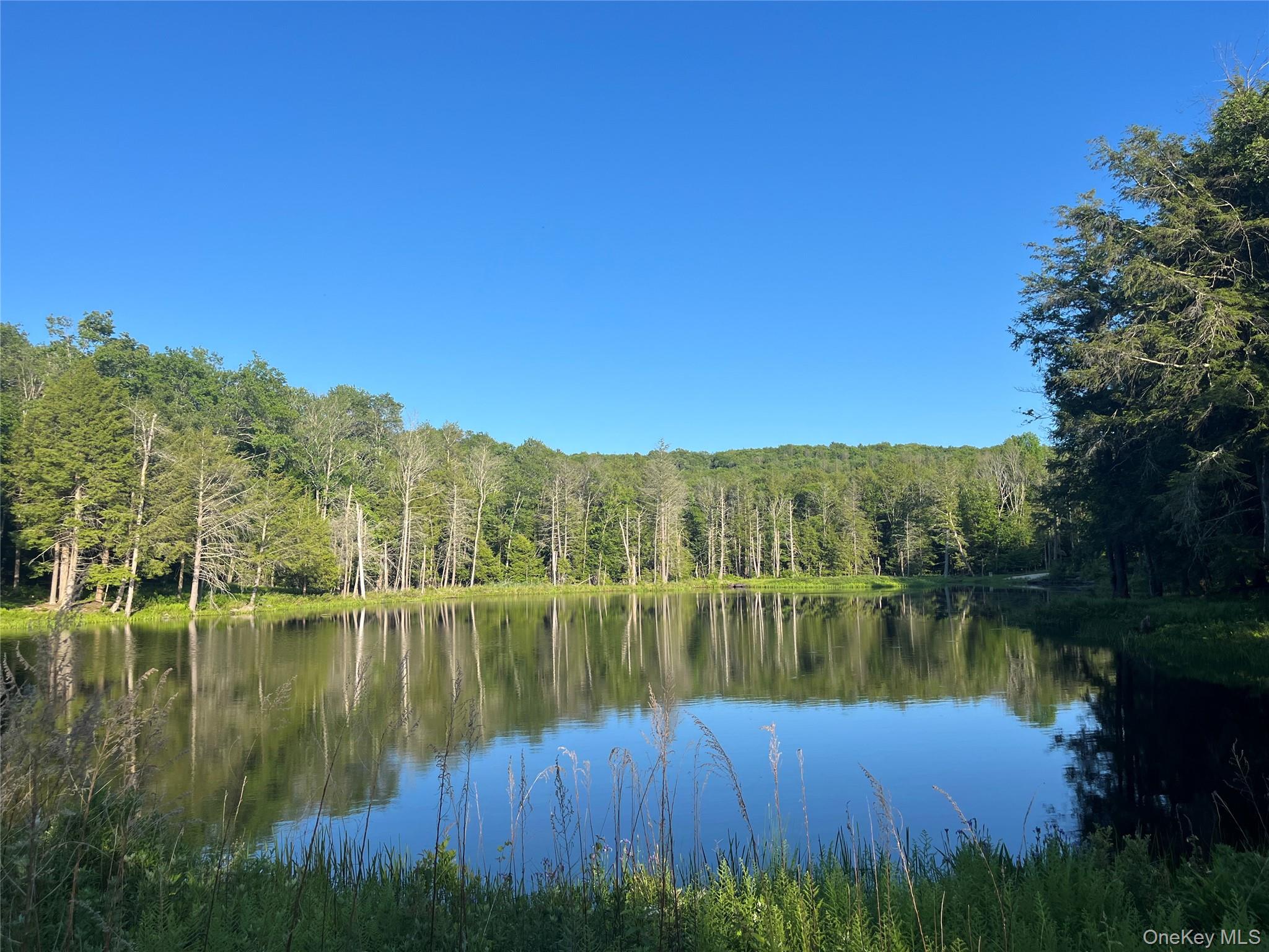 4 Cold Creek Pass – For Sale photo 4