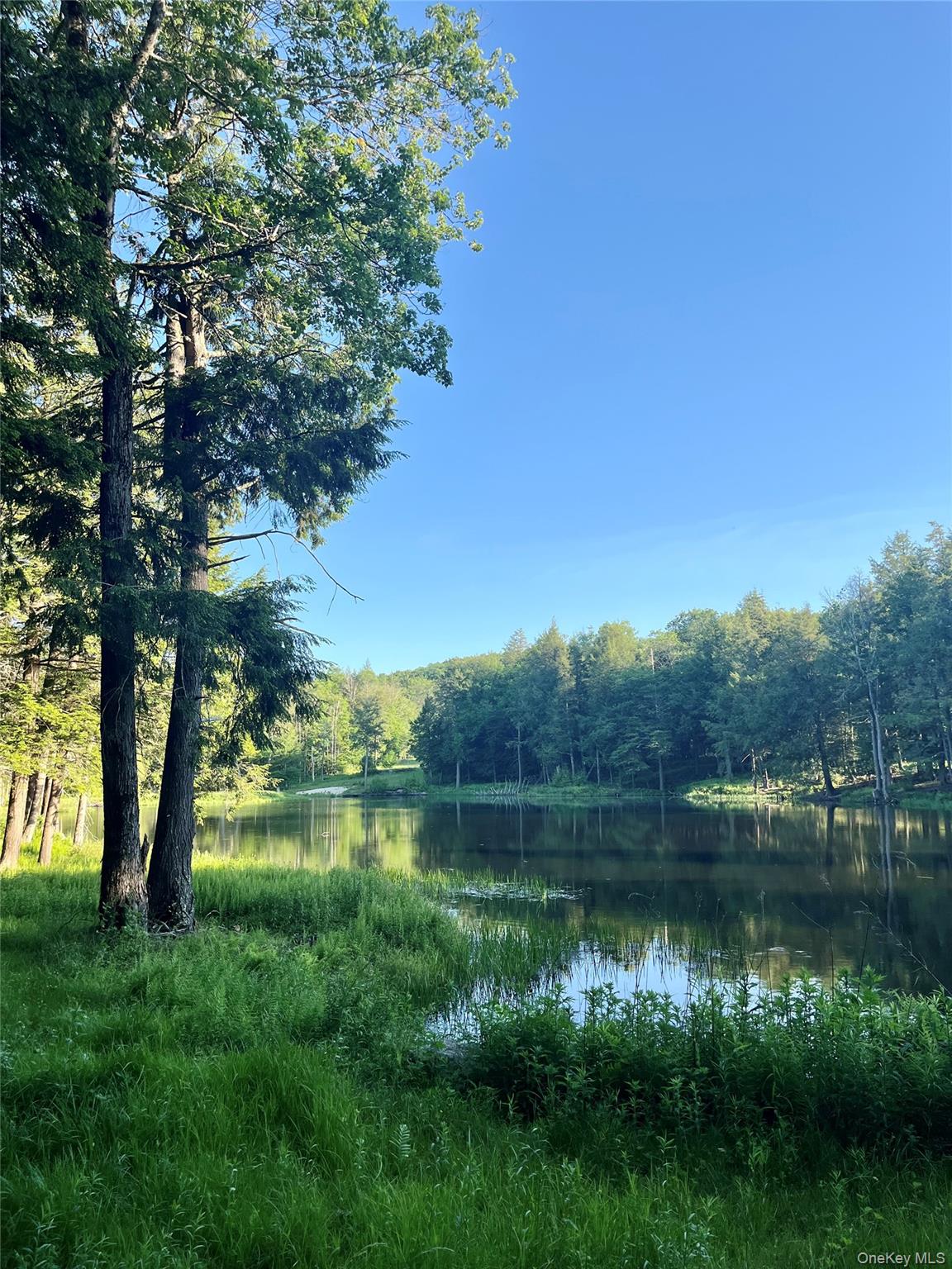4 Cold Creek Pass – For Sale photo 17
