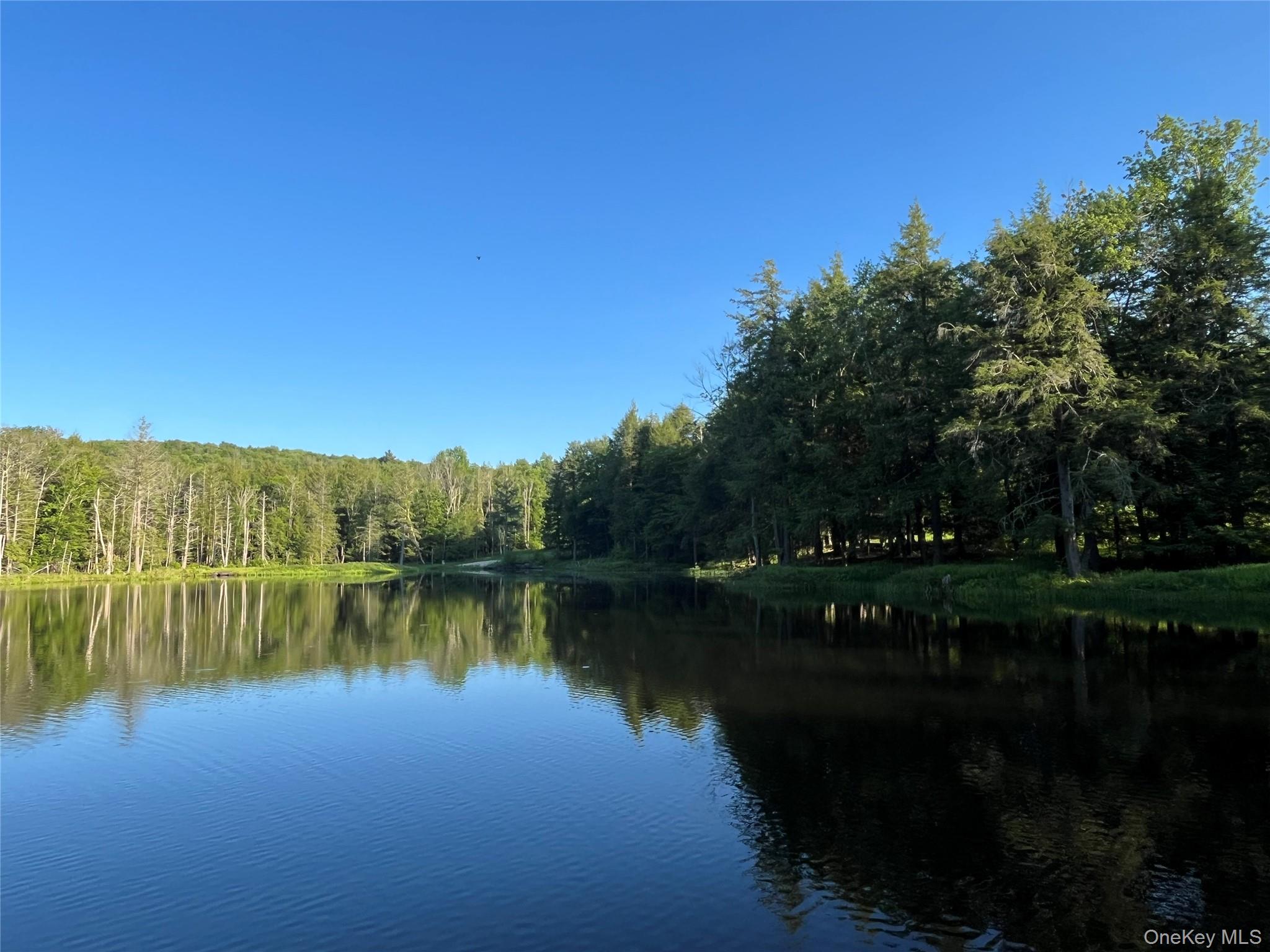 4 Cold Creek Pass – For Sale photo 8