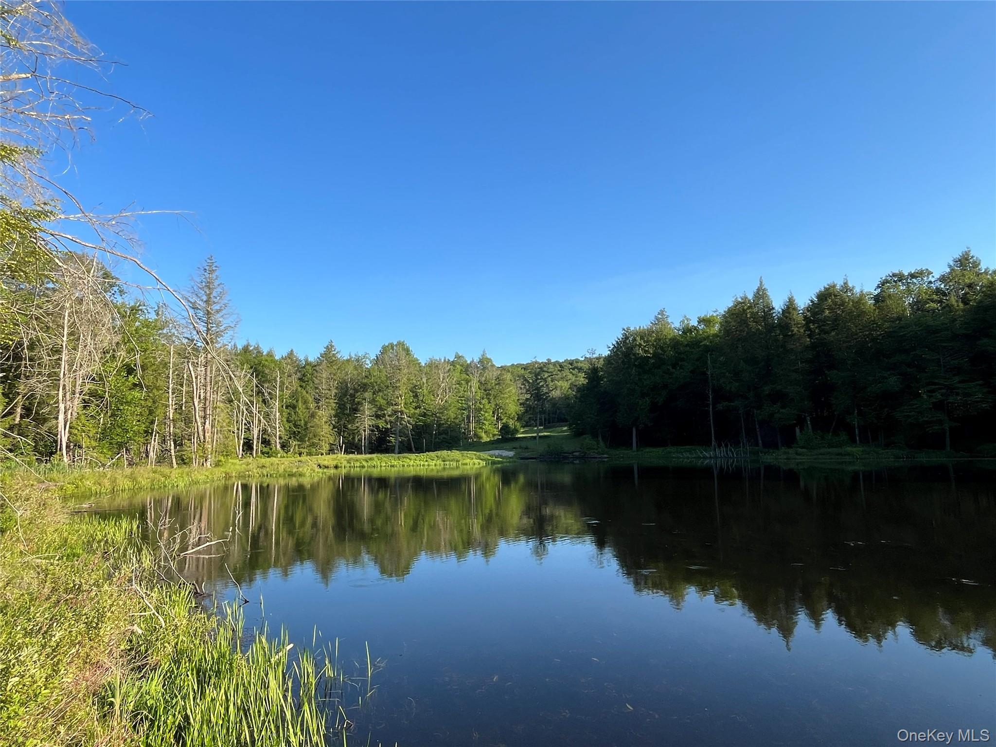 4 Cold Creek Pass – For Sale photo 14