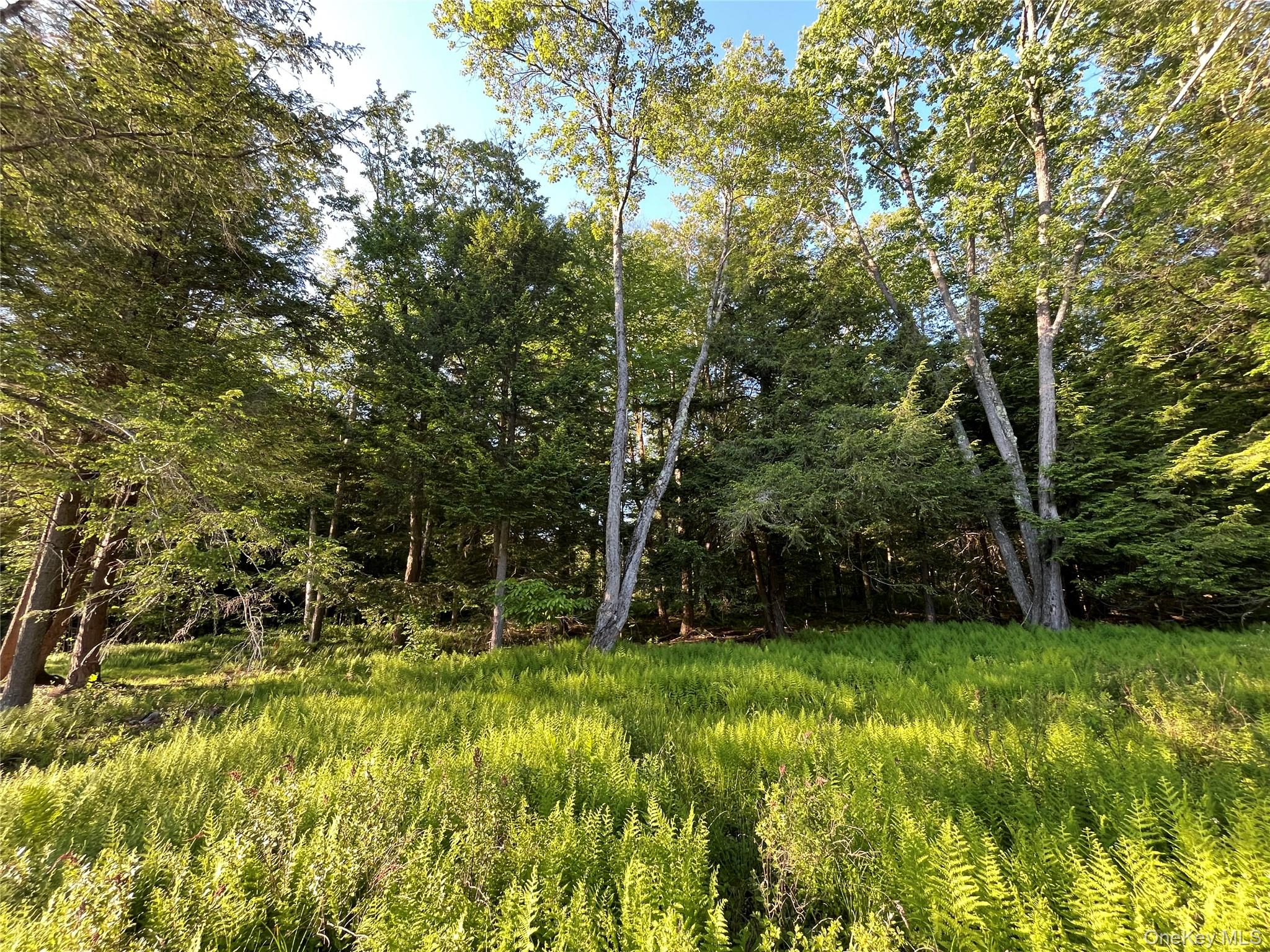 4 Cold Creek Pass – For Sale photo 15