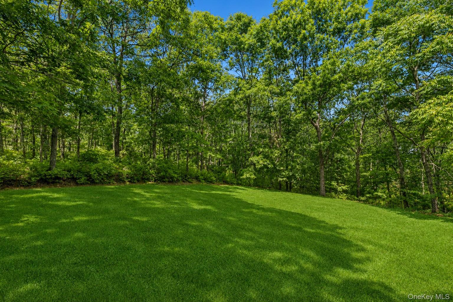 17 Squires Boulevard – For Sale photo 4