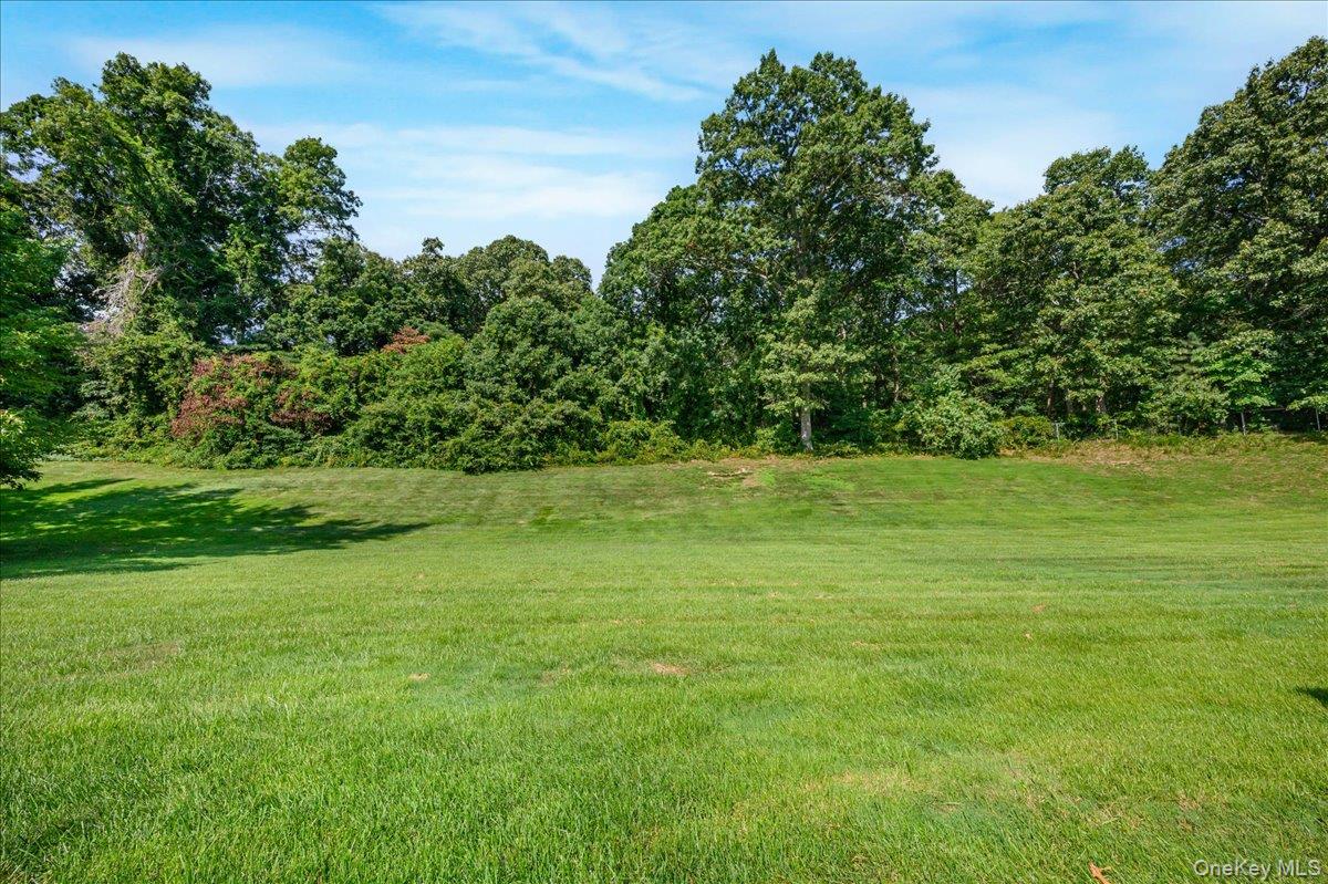 204 Mattituck Court – For Sale photo 21