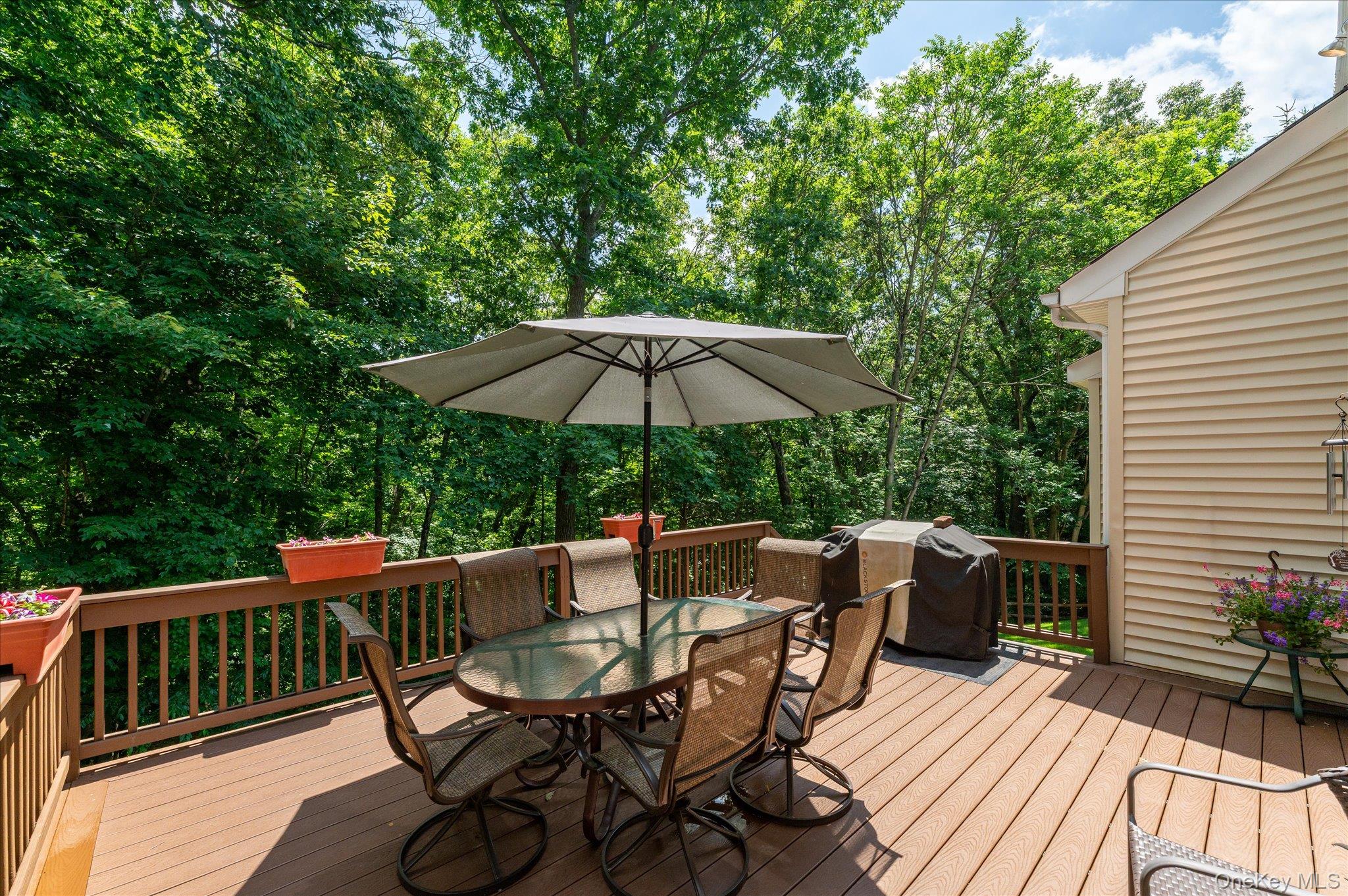 6 Theal Court – For Sale photo 40