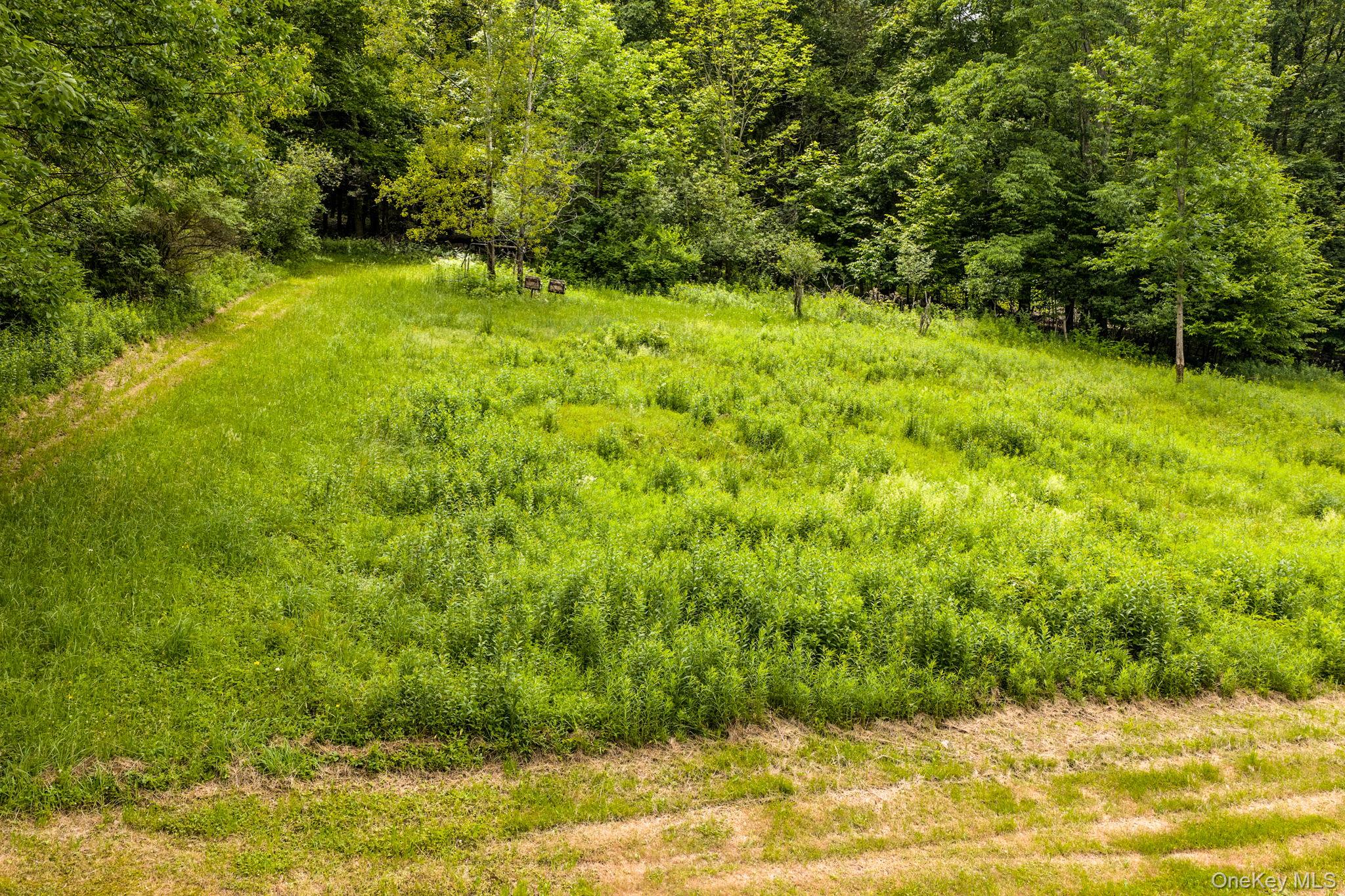 673 Hessinger And Lare Road – For Sale photo 39