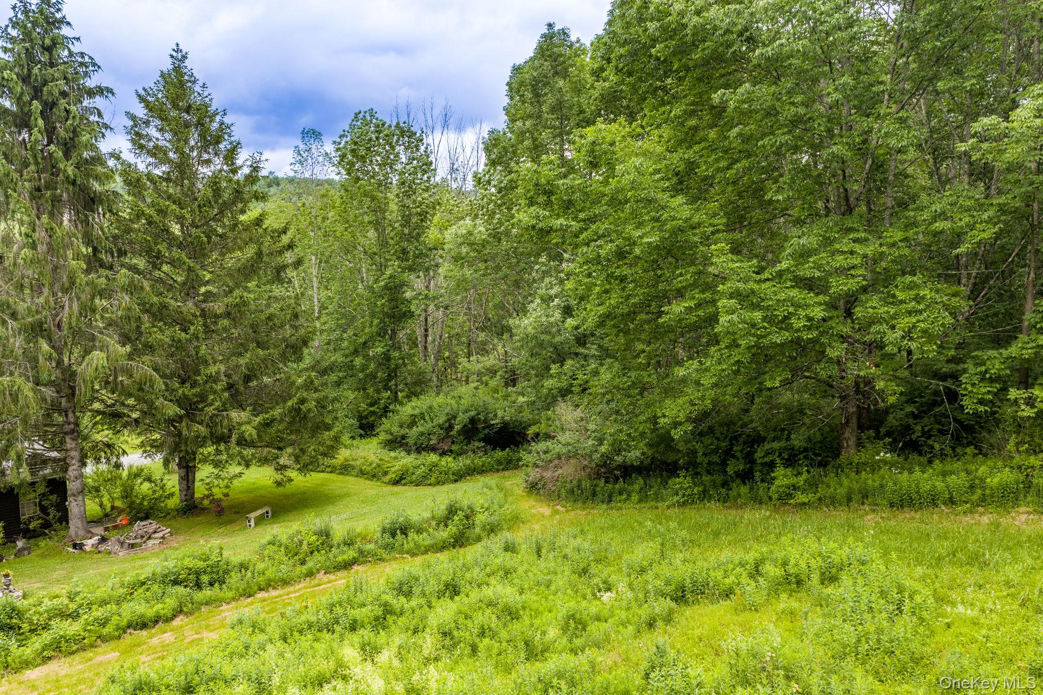 673 Hessinger And Lare Road – For Sale photo 34