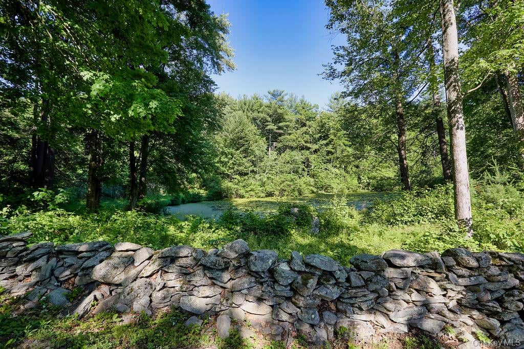 10 Stoutenburgh Drive – For Sale photo 41