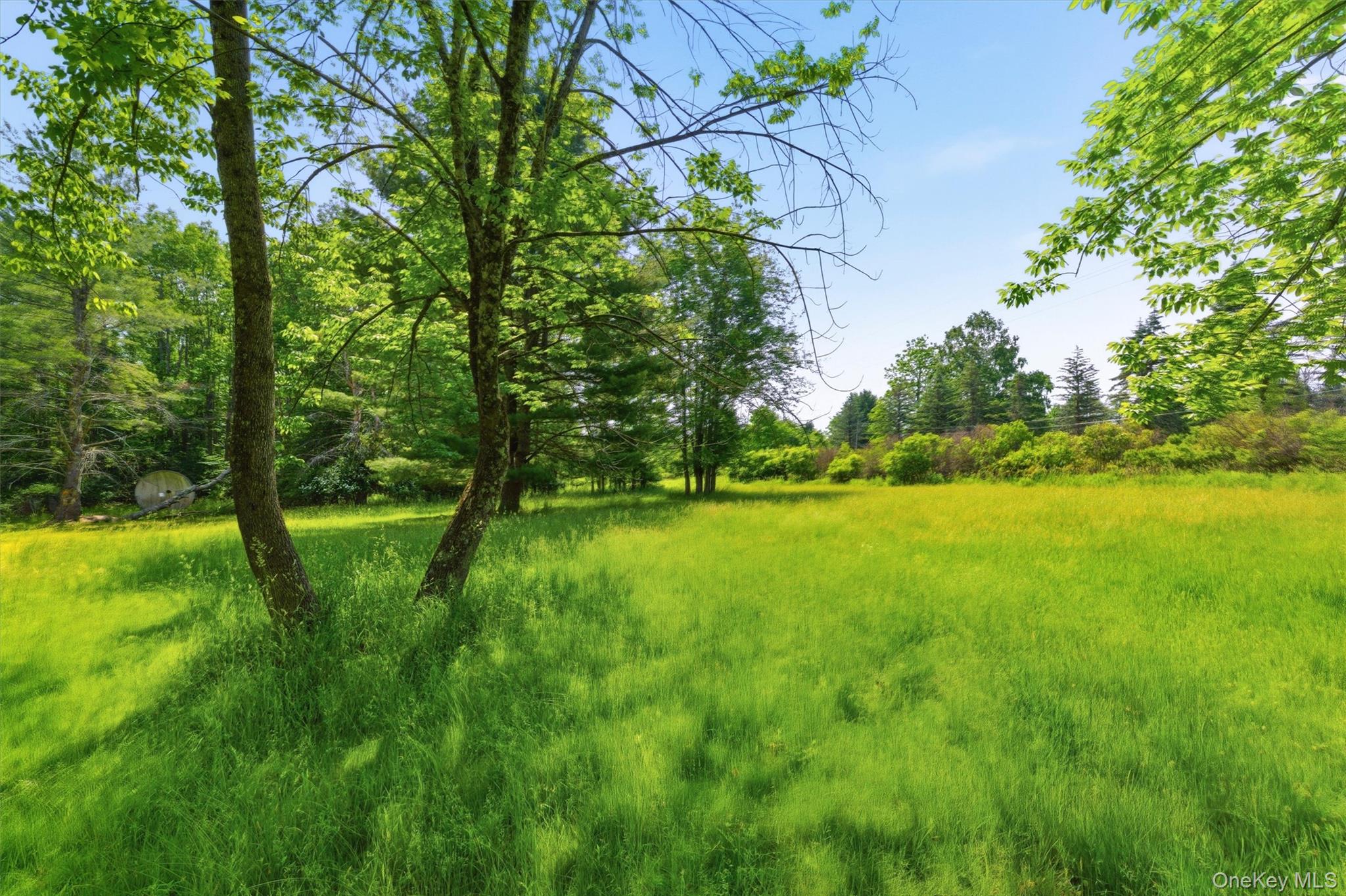 TBD Britman Road – For Sale photo 7