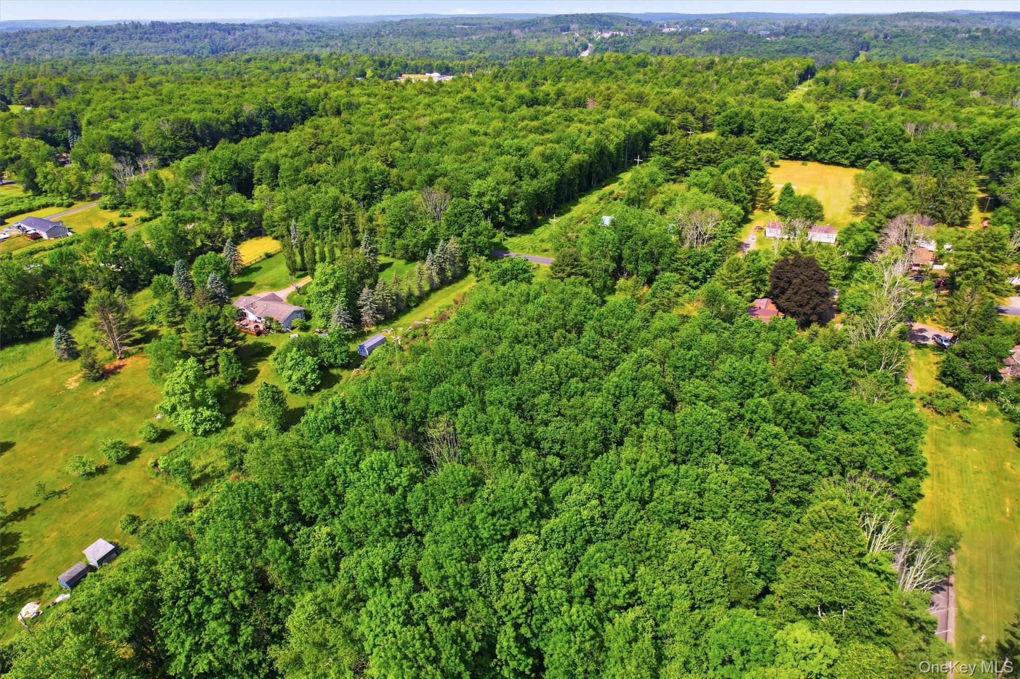 TBD Britman Road – For Sale photo 12