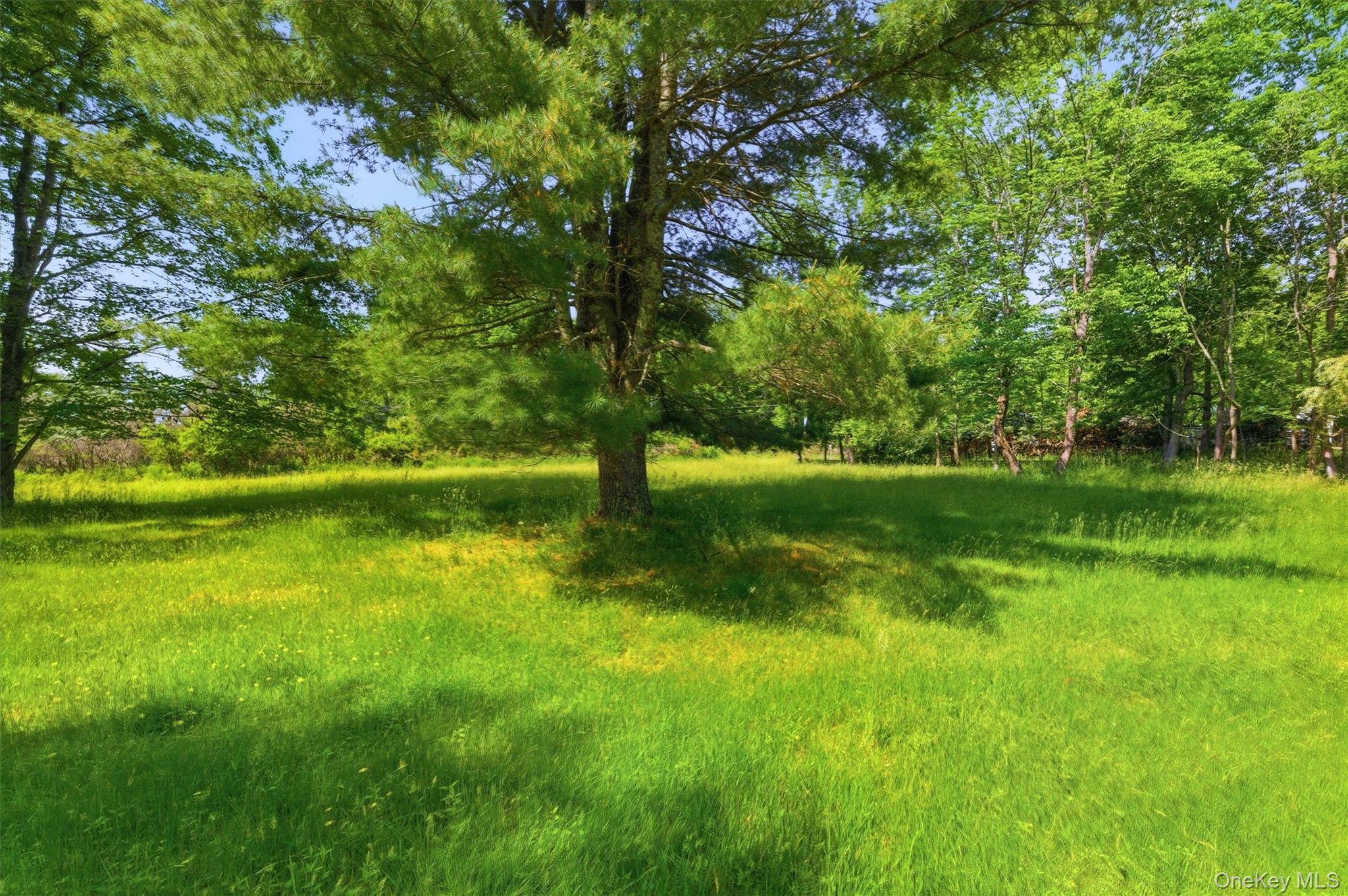 TBD Britman Road – For Sale photo 4
