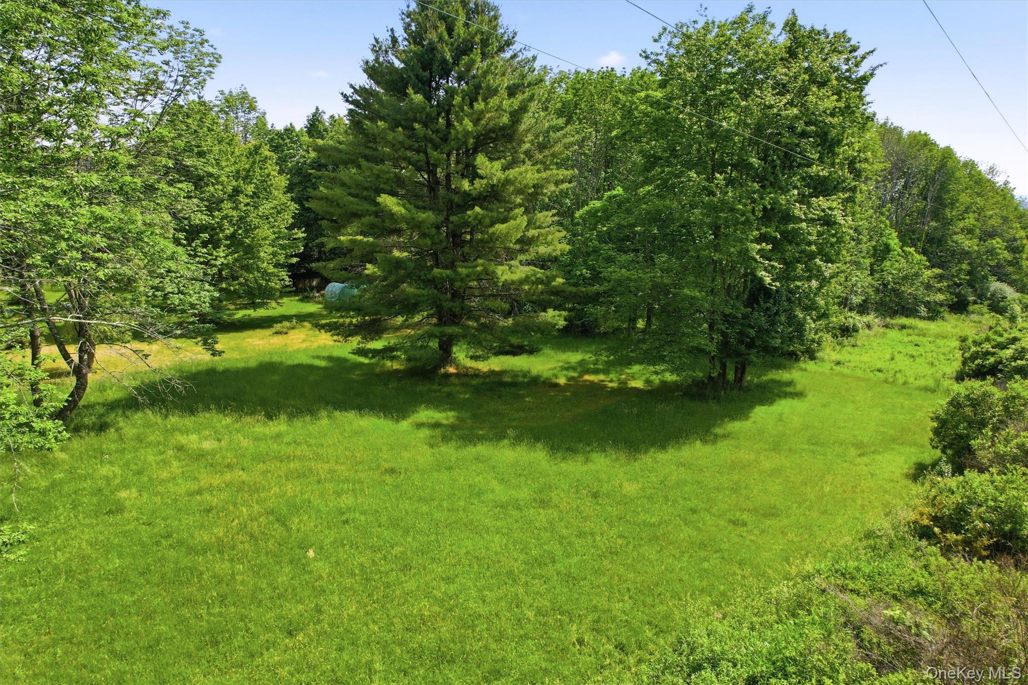 TBD Britman Road – For Sale photo 2