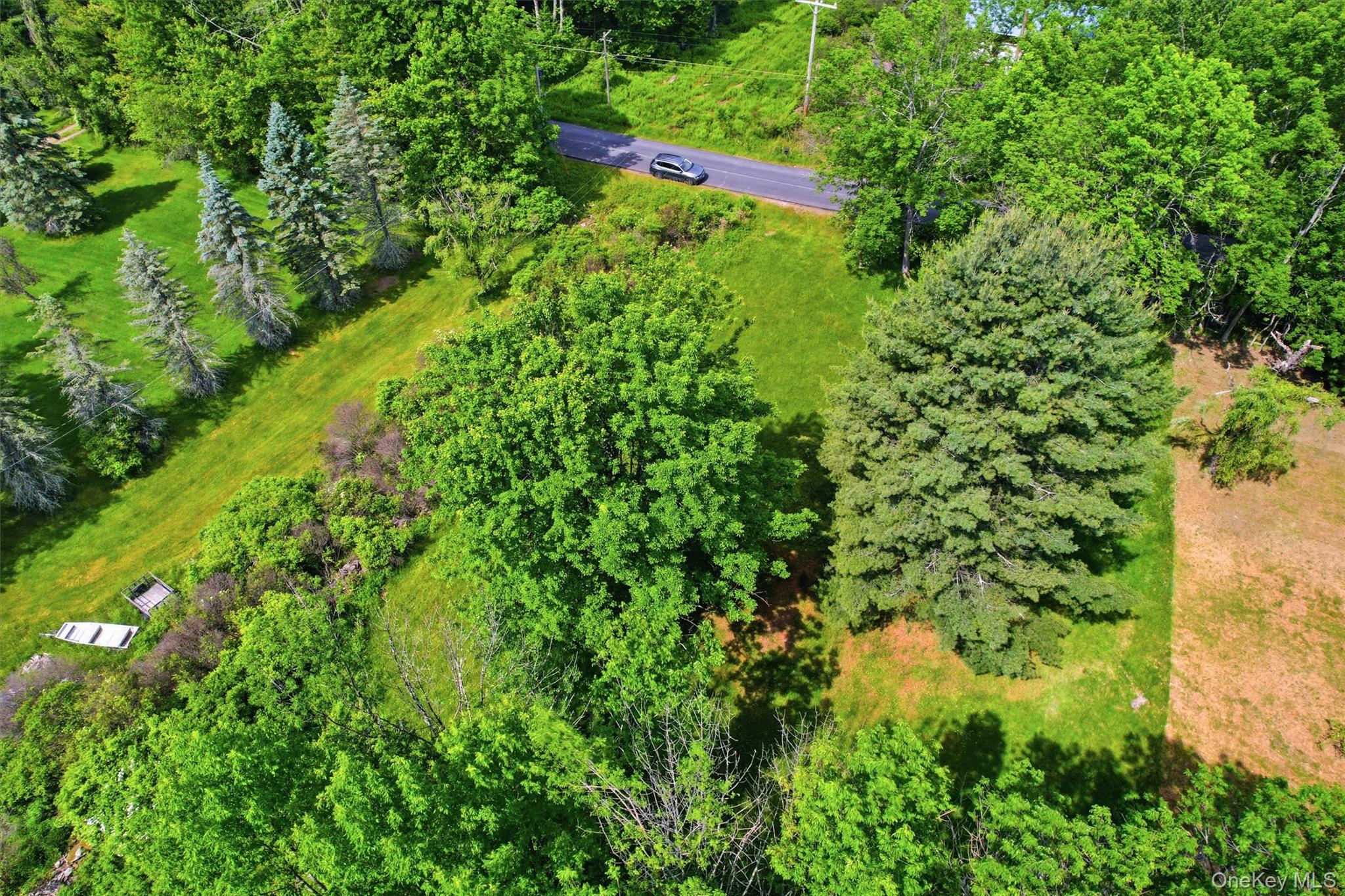 TBD Britman Road – For Sale photo 14