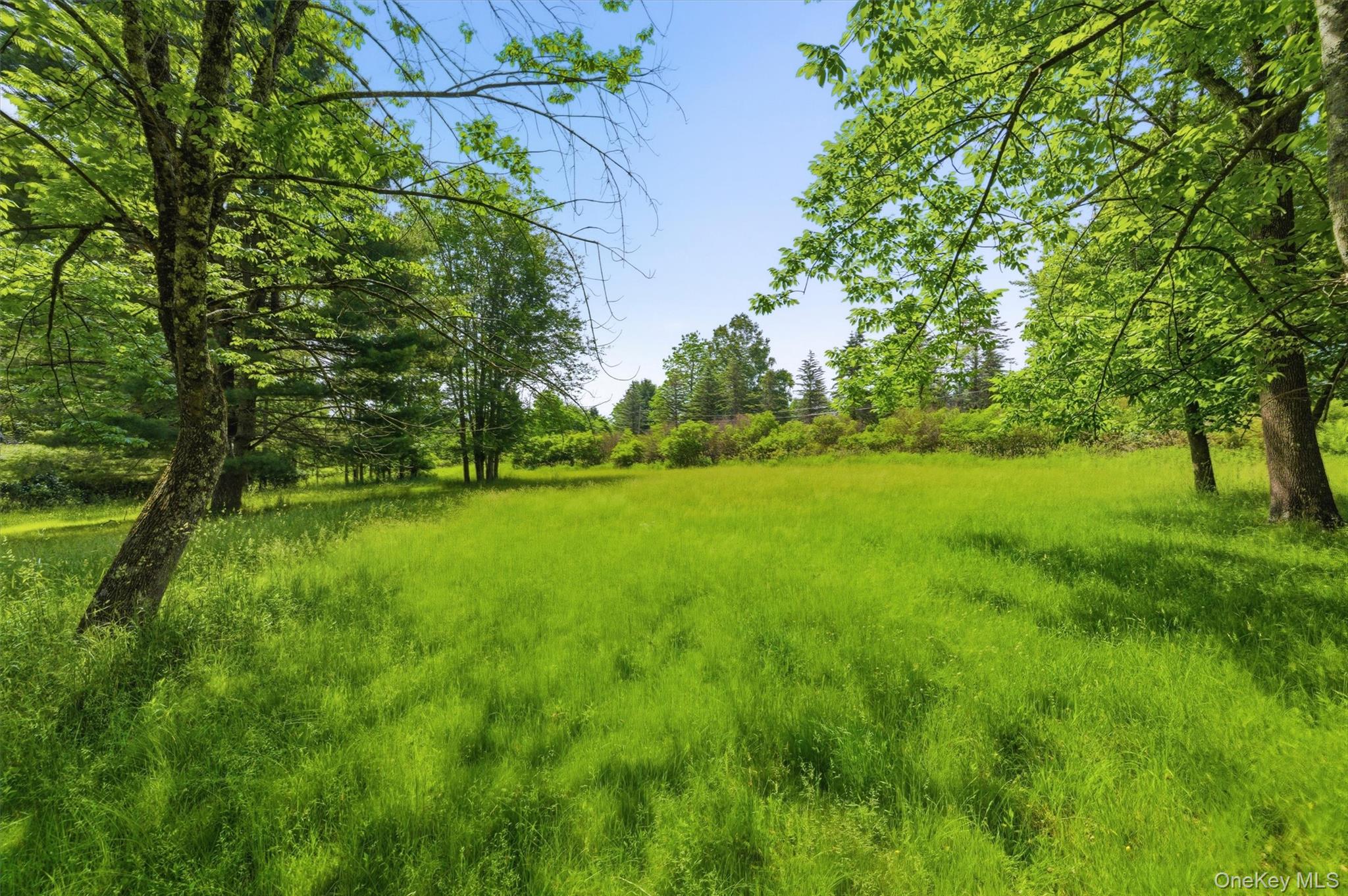 TBD Britman Road – For Sale photo 6