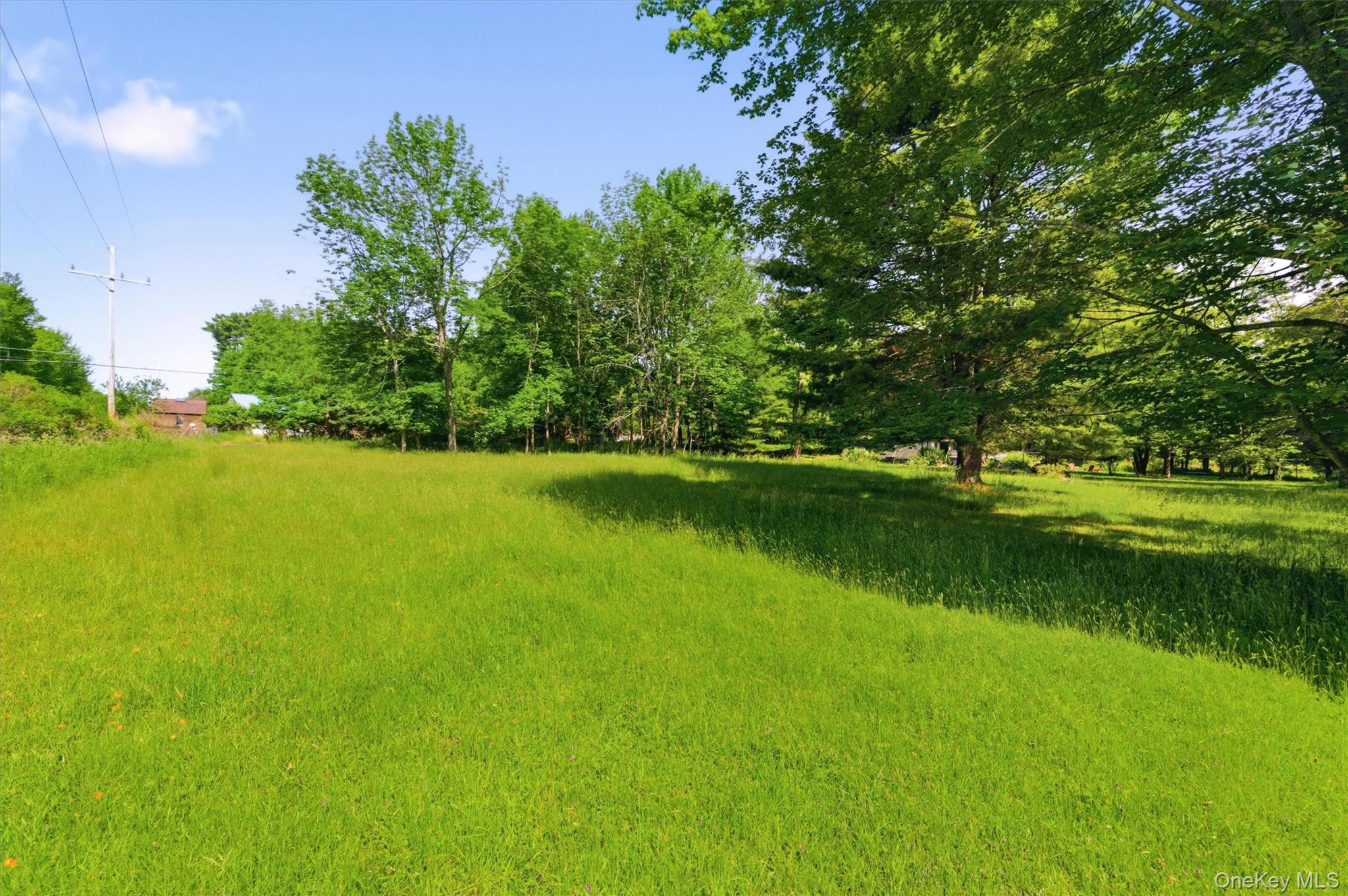 TBD Britman Road – For Sale photo 3