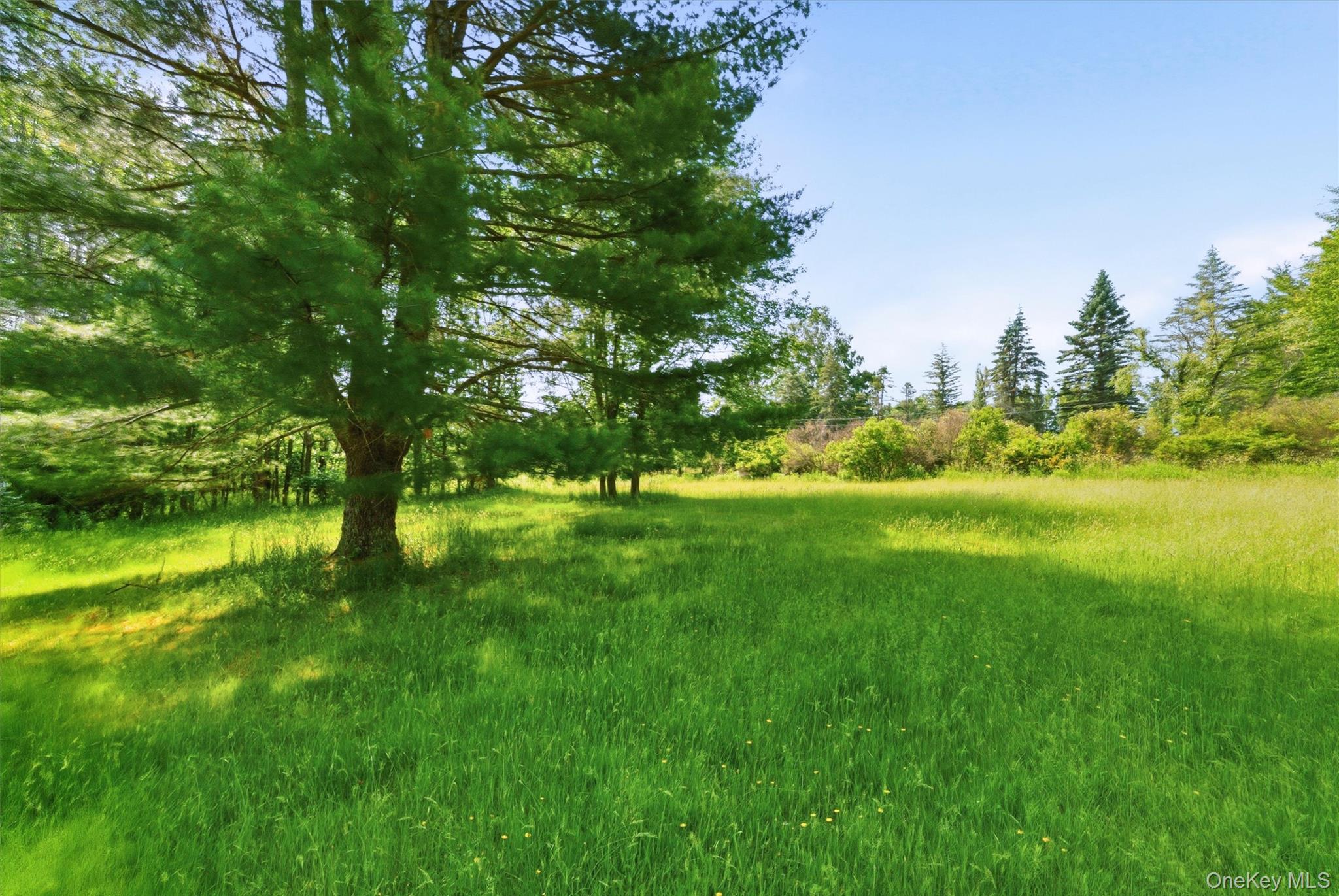 TBD Britman Road – For Sale photo 5