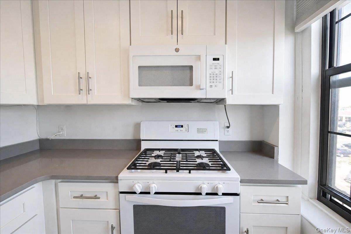 310 Riverside Boulevard, Unit 3i photo 12