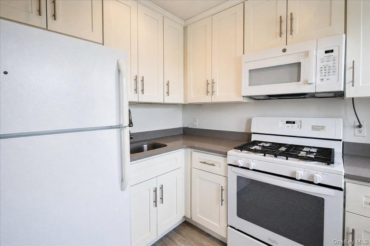 310 Riverside Boulevard, Unit 3i photo 11