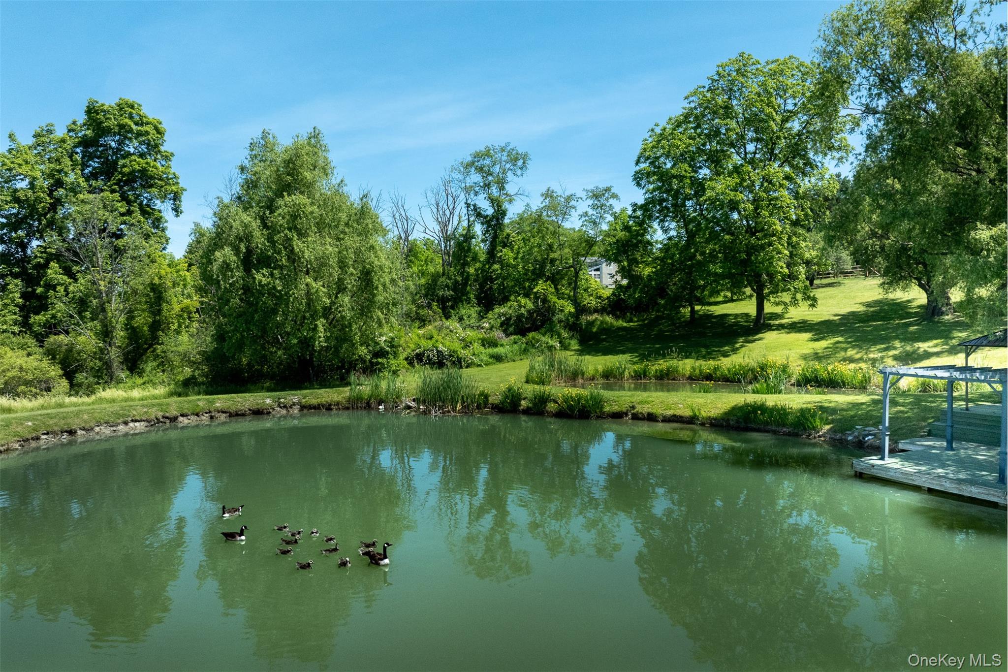 3531 Route 82 – For Sale photo 35
